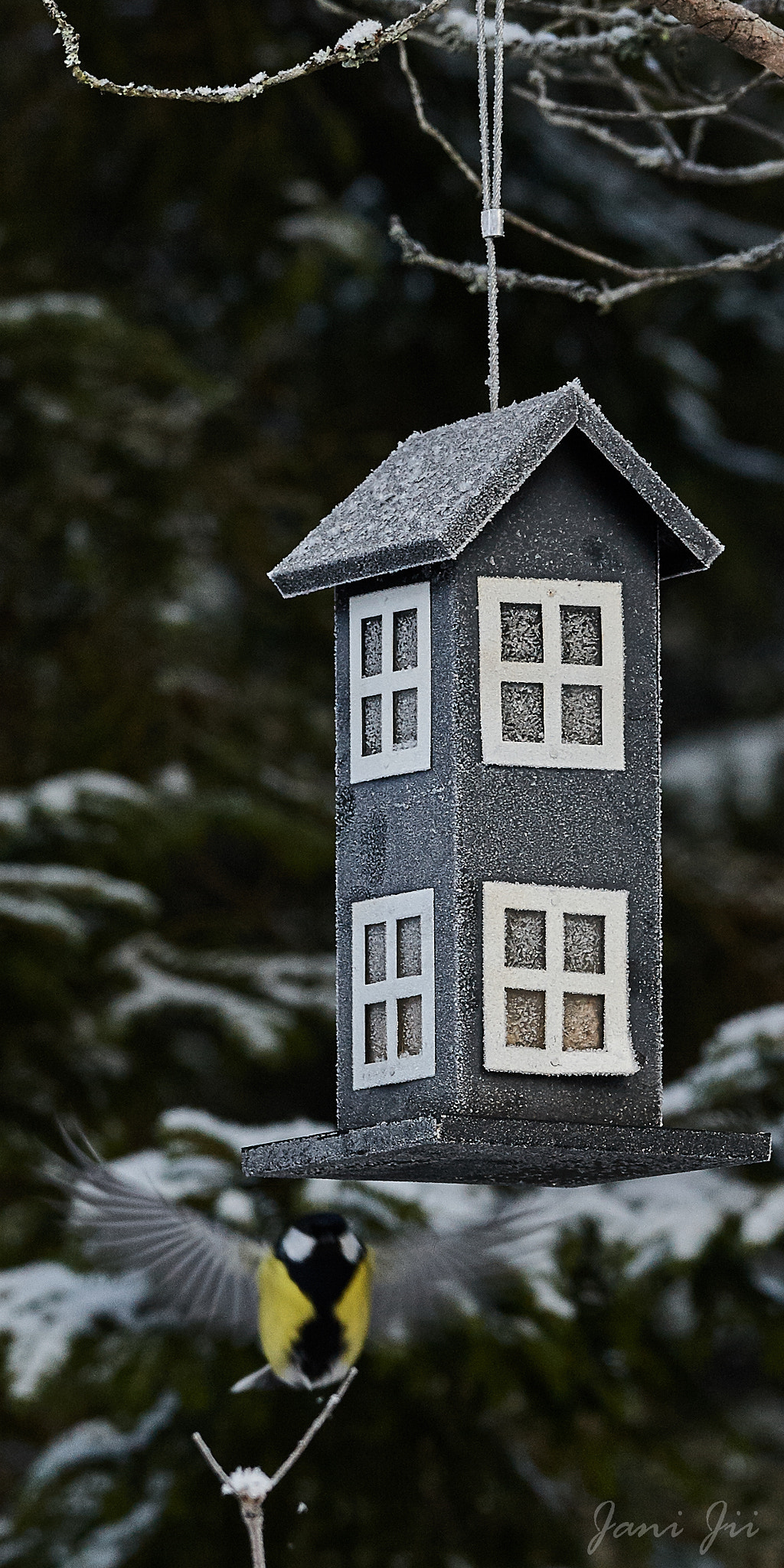 Canon EOS-1D Mark III sample photo. Final approach to carrier photography