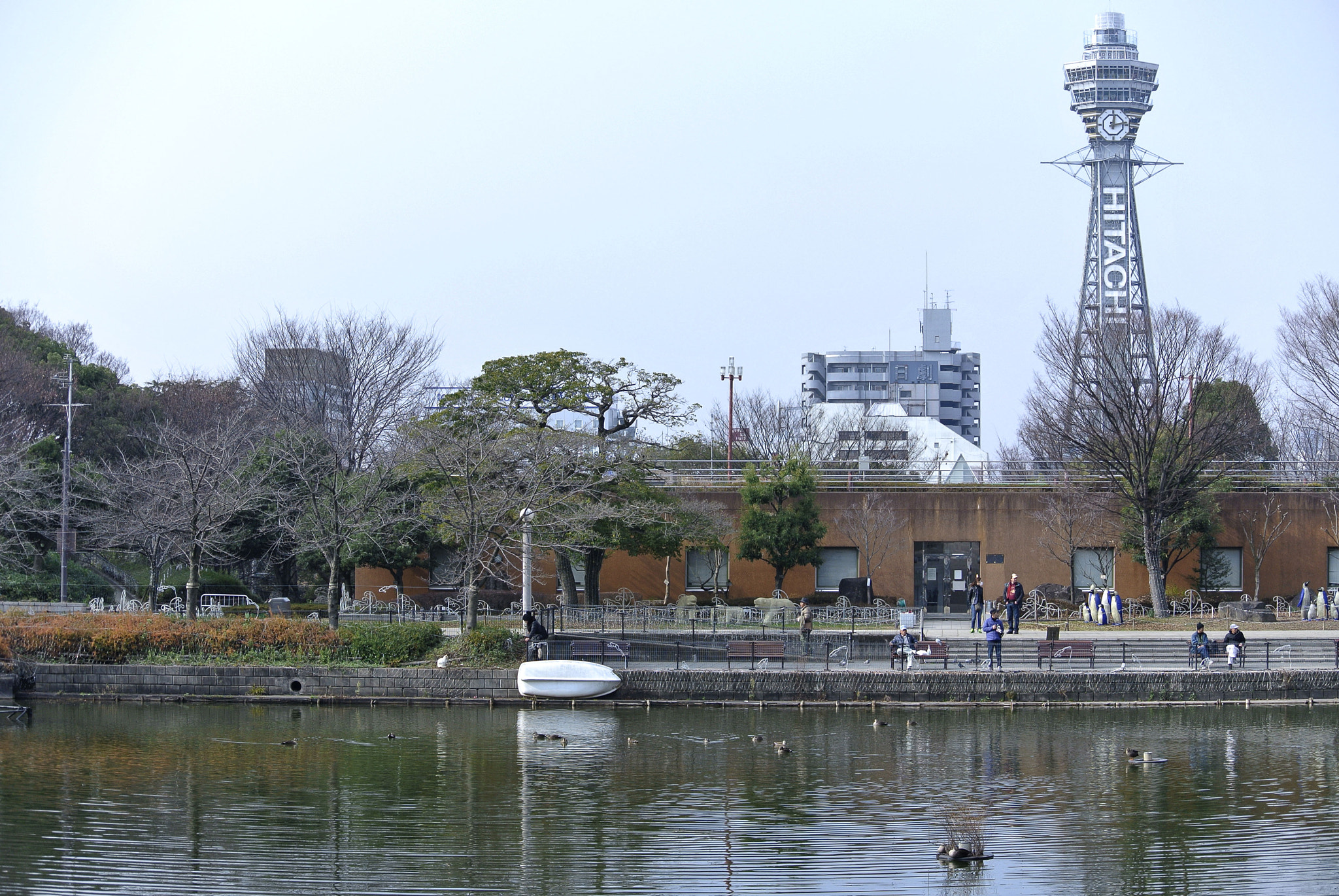 Nikon 1 Nikkor VR 30-110mm F3.8-5.6 sample photo. Snapshot photography