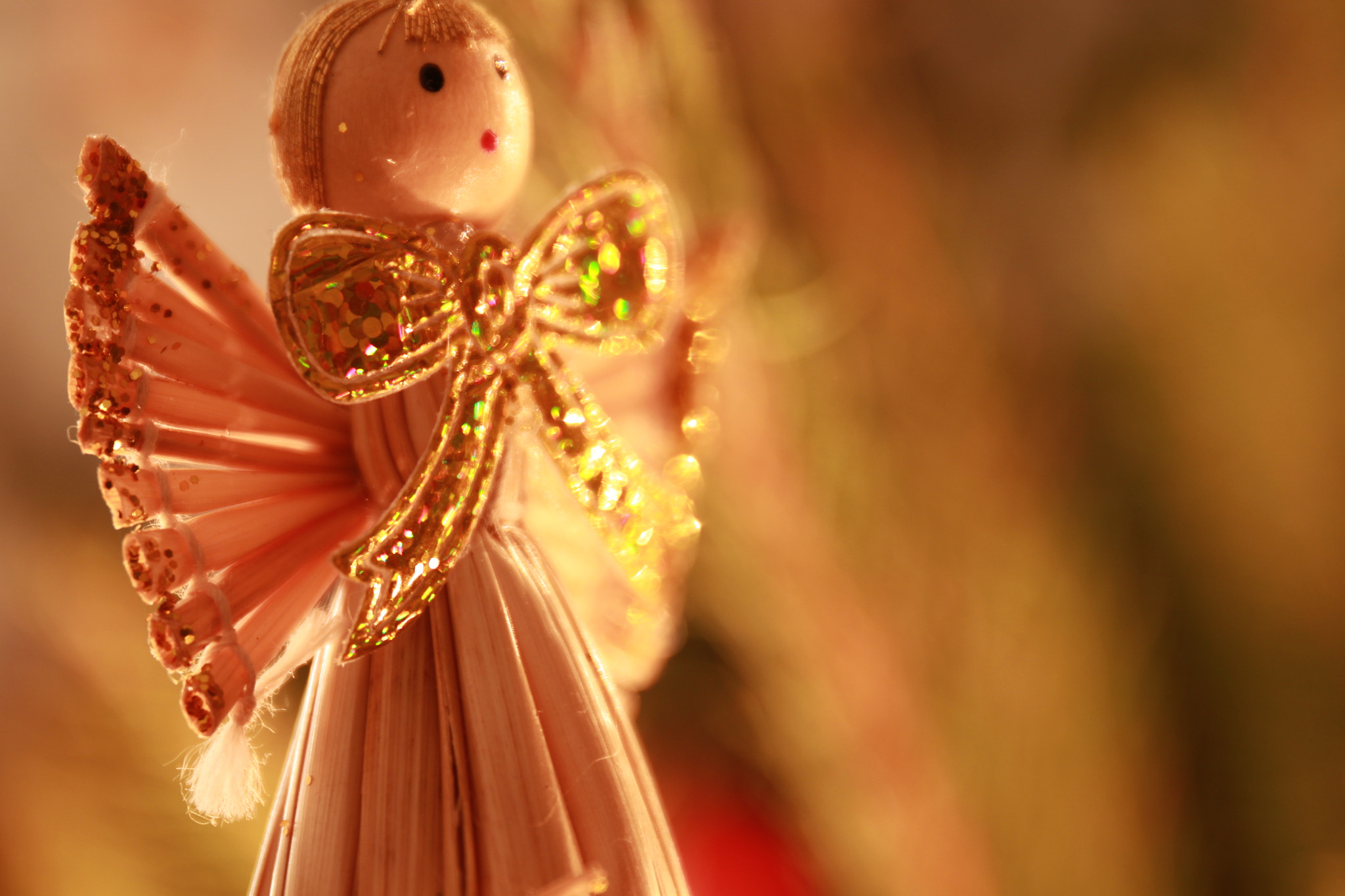 Canon EF 24-70mm F4L IS USM sample photo. Christmas angel photography