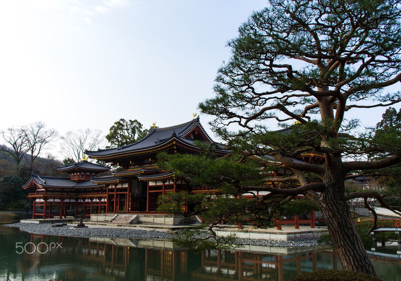 Pentax K-5 + Pentax smc DA 21mm F3.2 AL Limited sample photo. Byodoin temple, kyoto, japan. photography