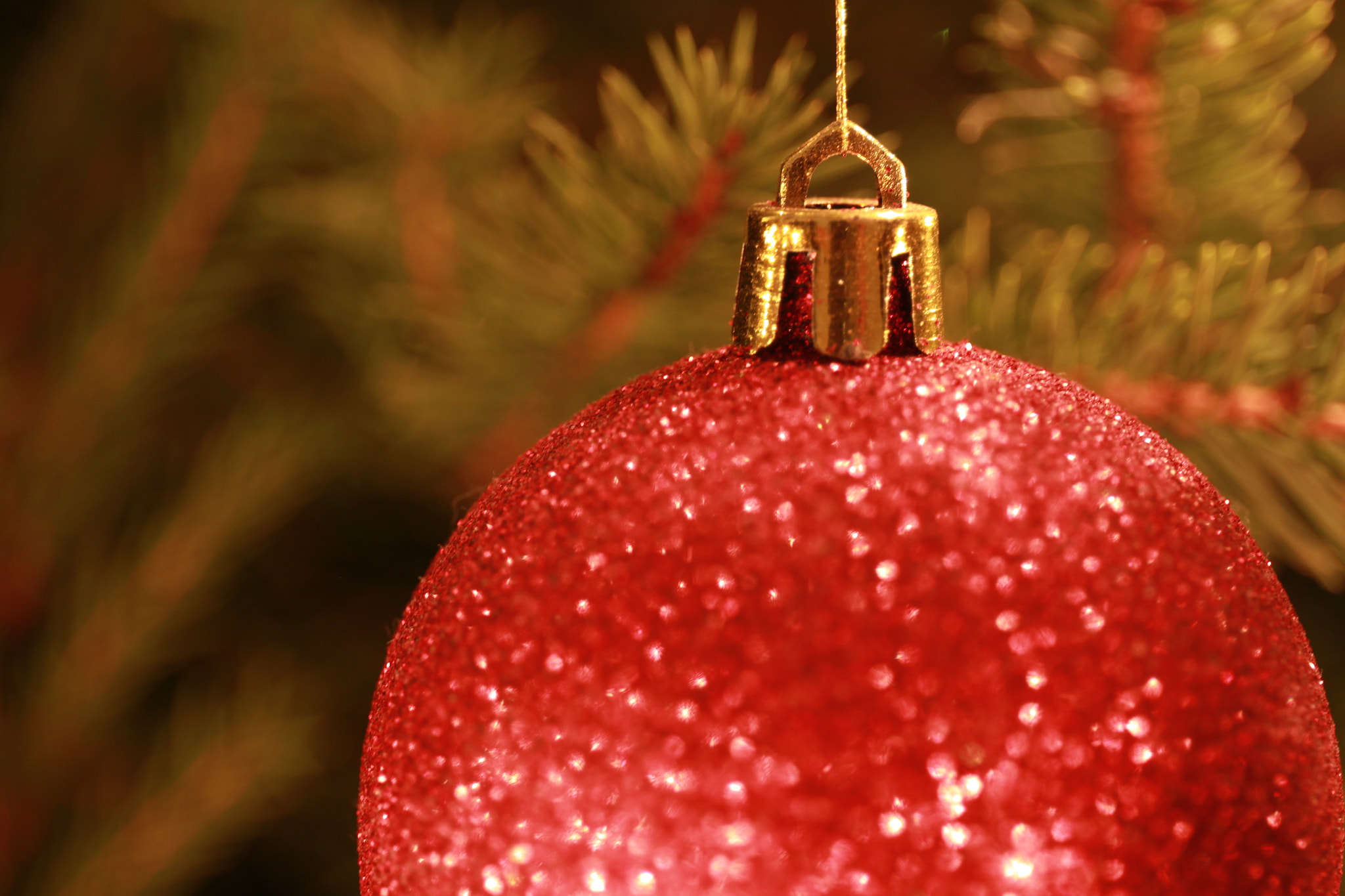 Canon EF 24-70mm F4L IS USM sample photo. Christmas ball photography