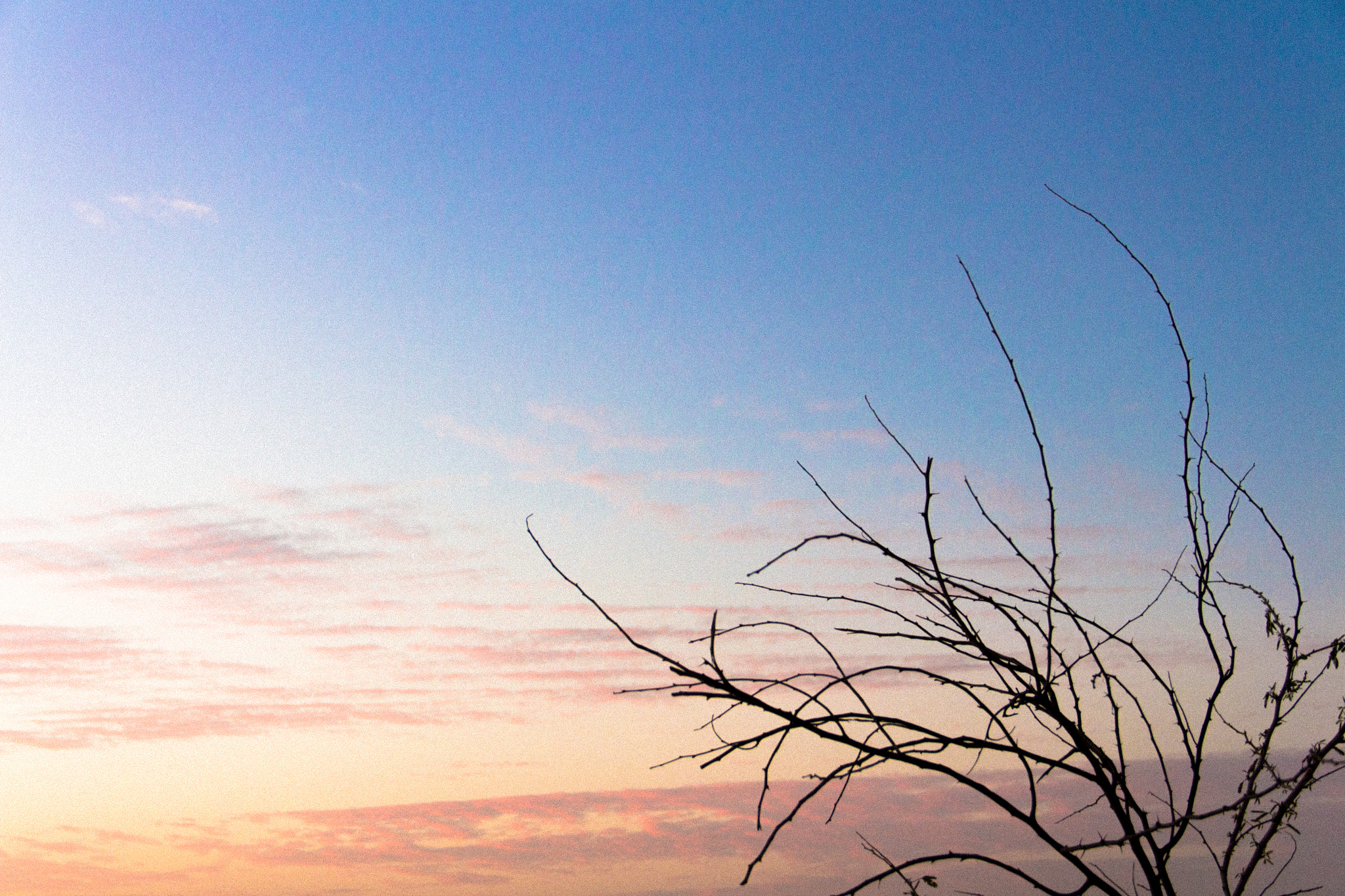 Canon EOS 650D (EOS Rebel T4i / EOS Kiss X6i) sample photo. Beautiful sunset in saudi arabia photography