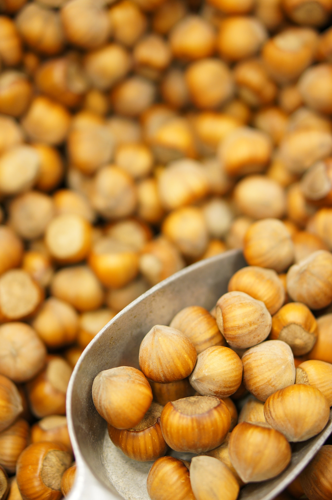 Sony Alpha NEX-5N + Sony E 50mm F1.8 OSS sample photo. Background of hazelnuts photography