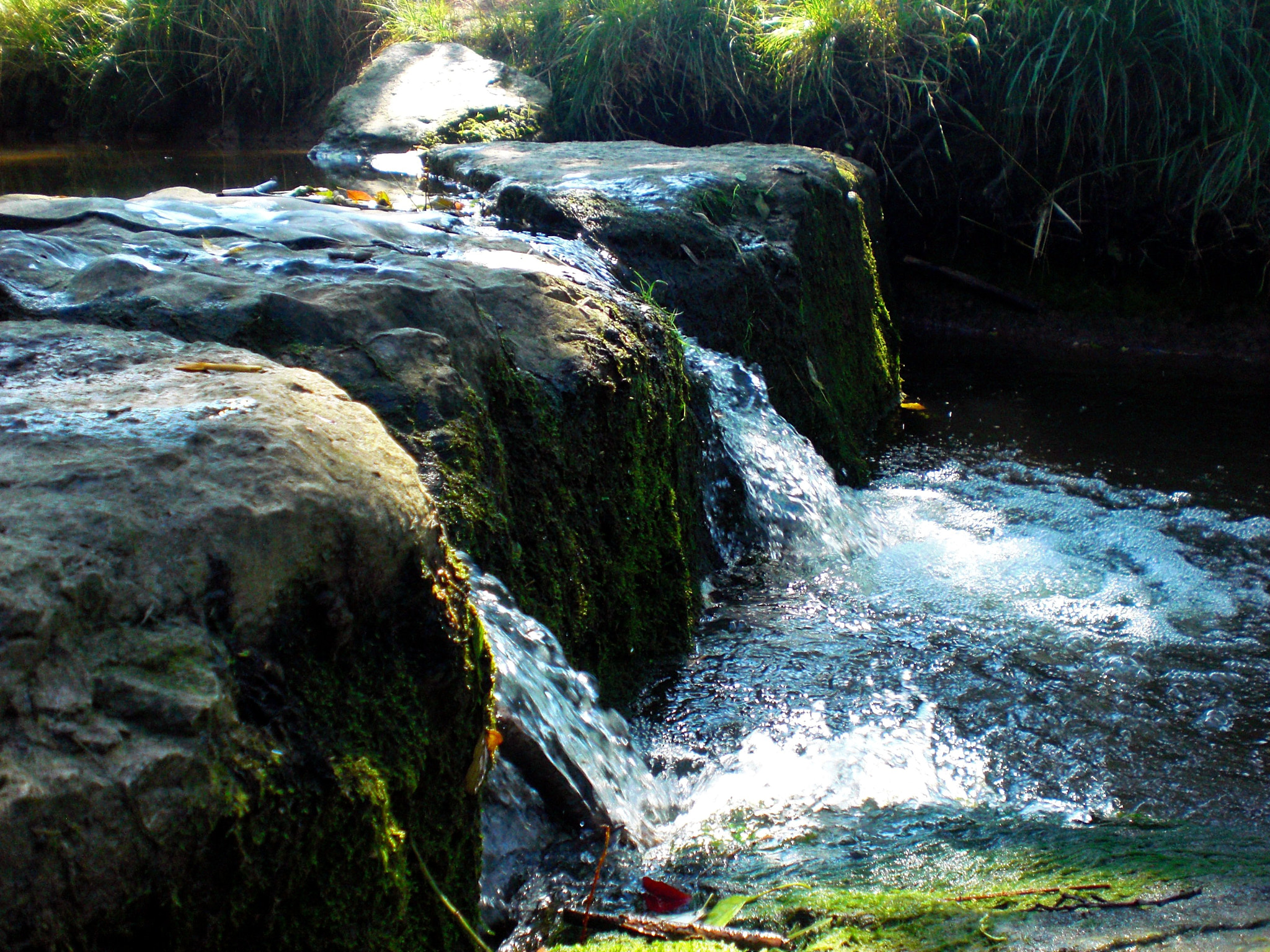 CASIO EX-Z80 sample photo. Lonely creek photography