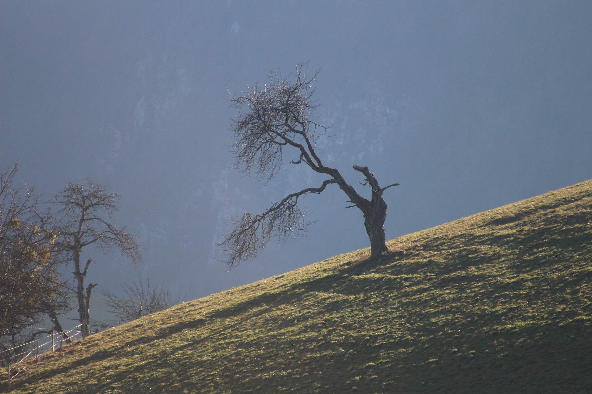 Canon EF 80-200mm F4.5-5.6 II sample photo