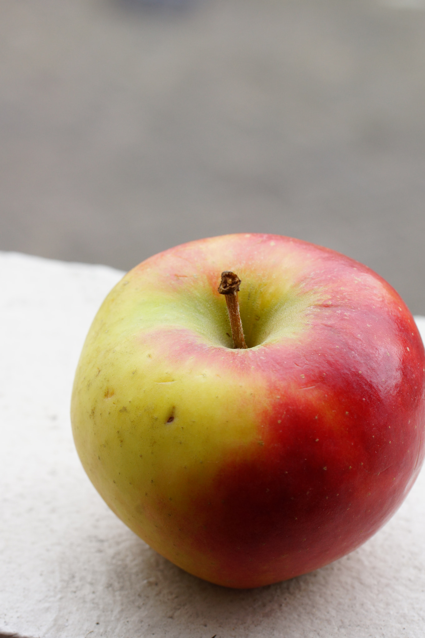 Sony SLT-A77 + Tamron Lens (255) sample photo. Elstar apple photography