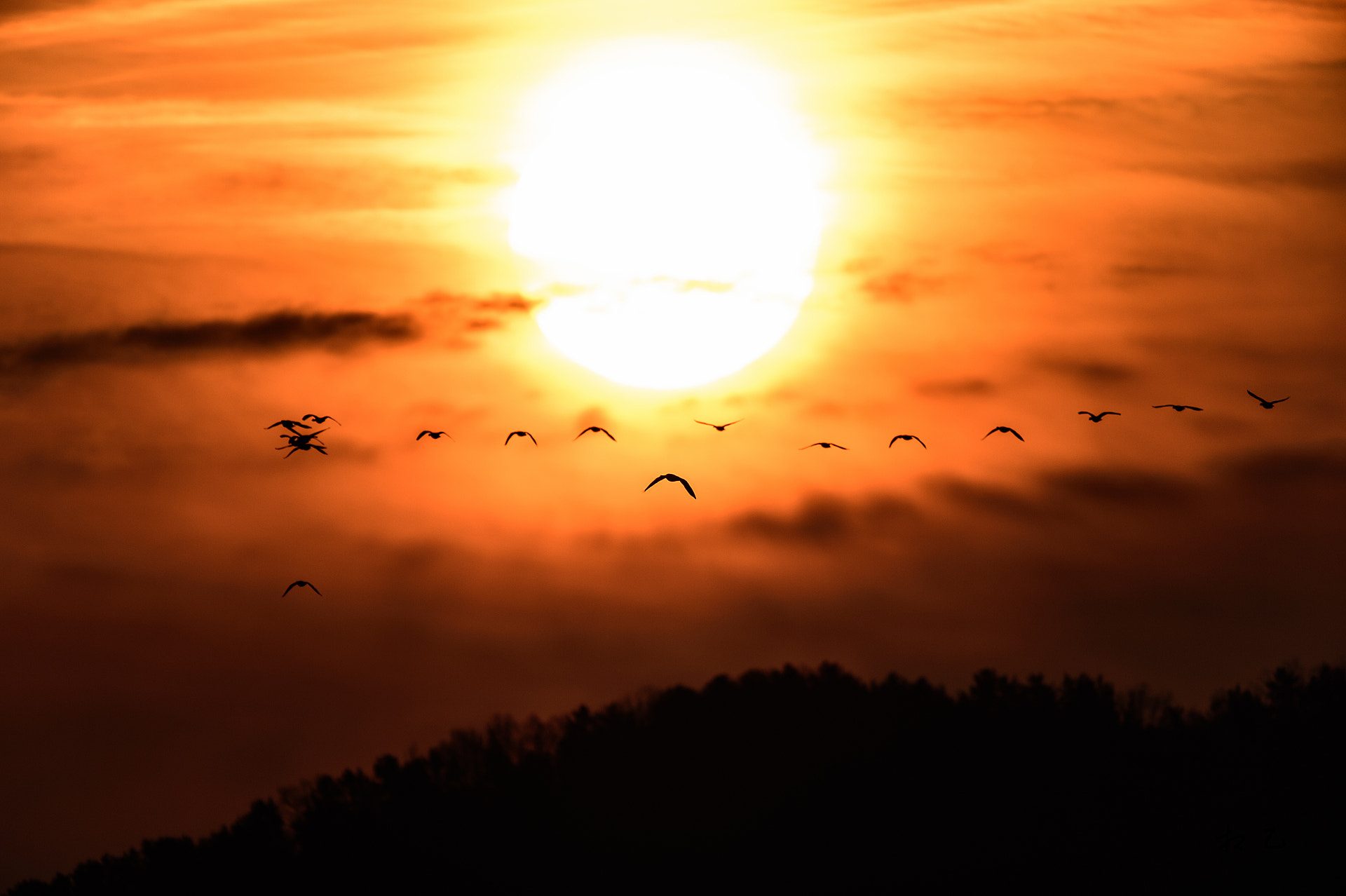 Nikon D4S sample photo. Sunrise photography