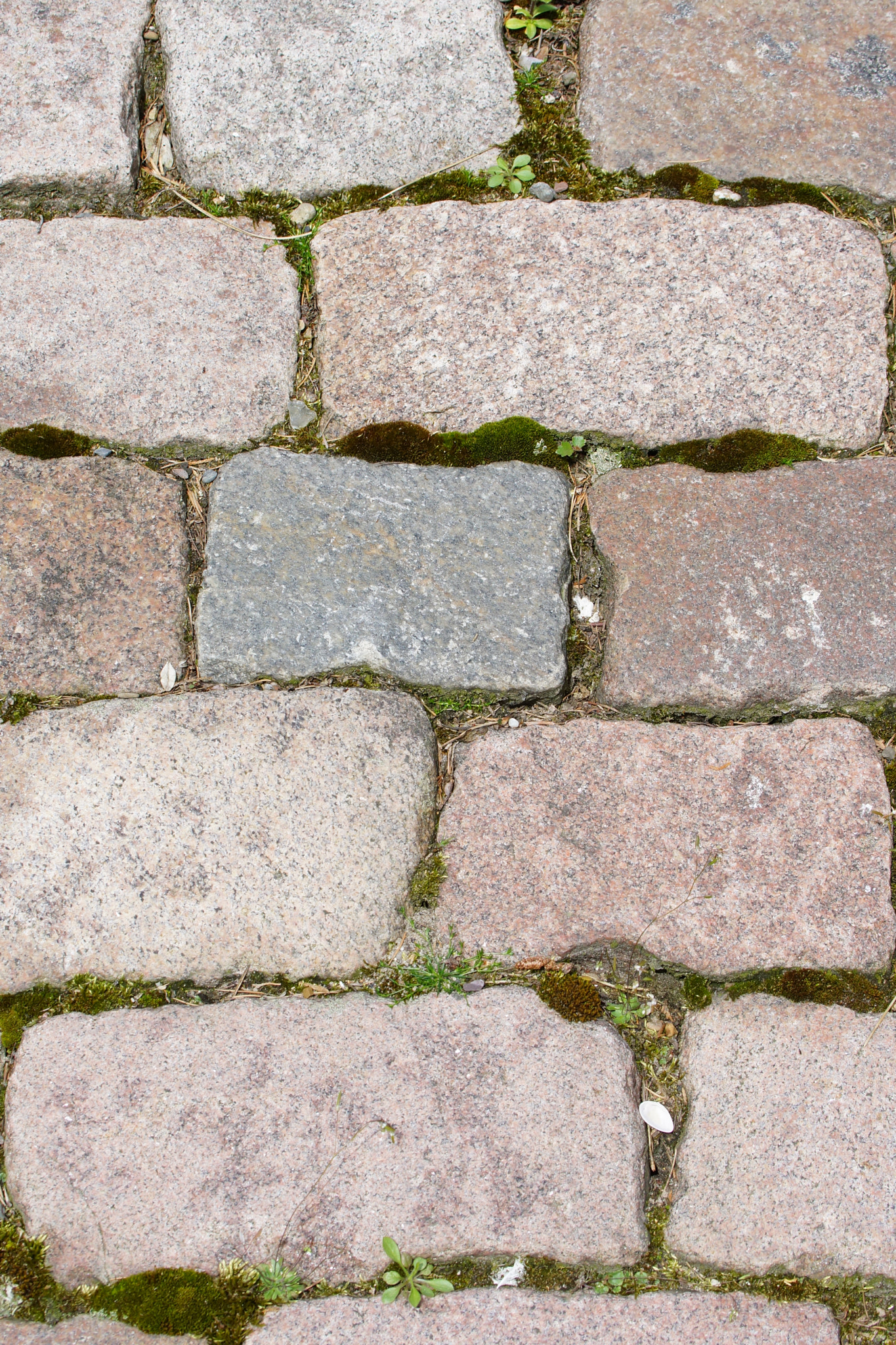 Sony SLT-A77 + Tamron Lens (255) sample photo. Stone wall photography