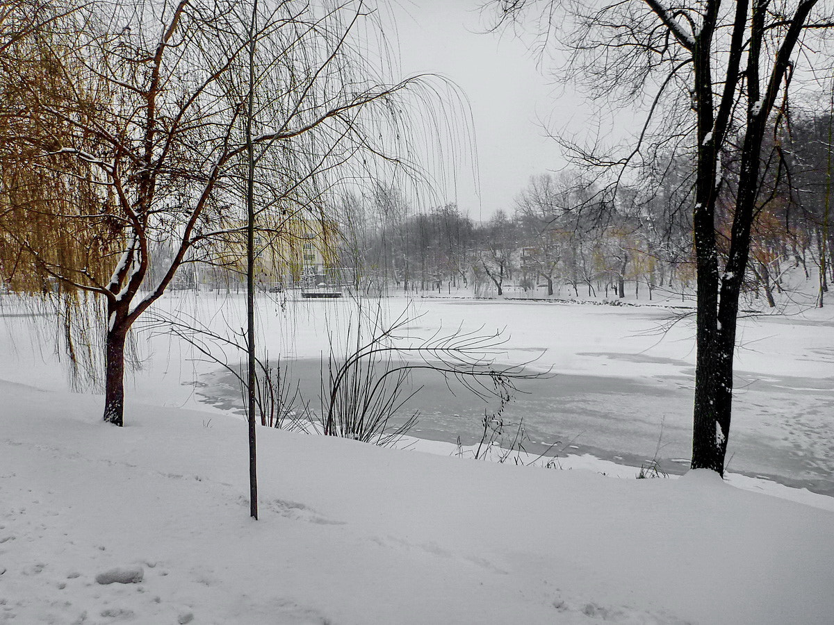 Panasonic DMC-FT3 sample photo. В зимнем парке photography