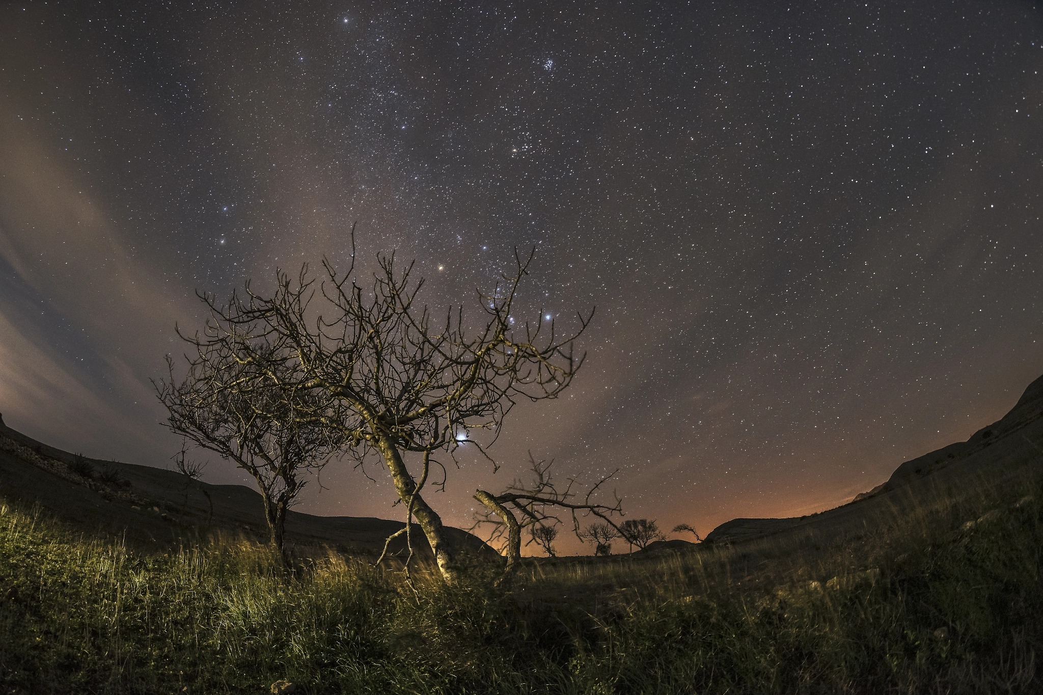Samyang 12mm F2.8 ED AS NCS Fisheye sample photo. Lights and fogs photography