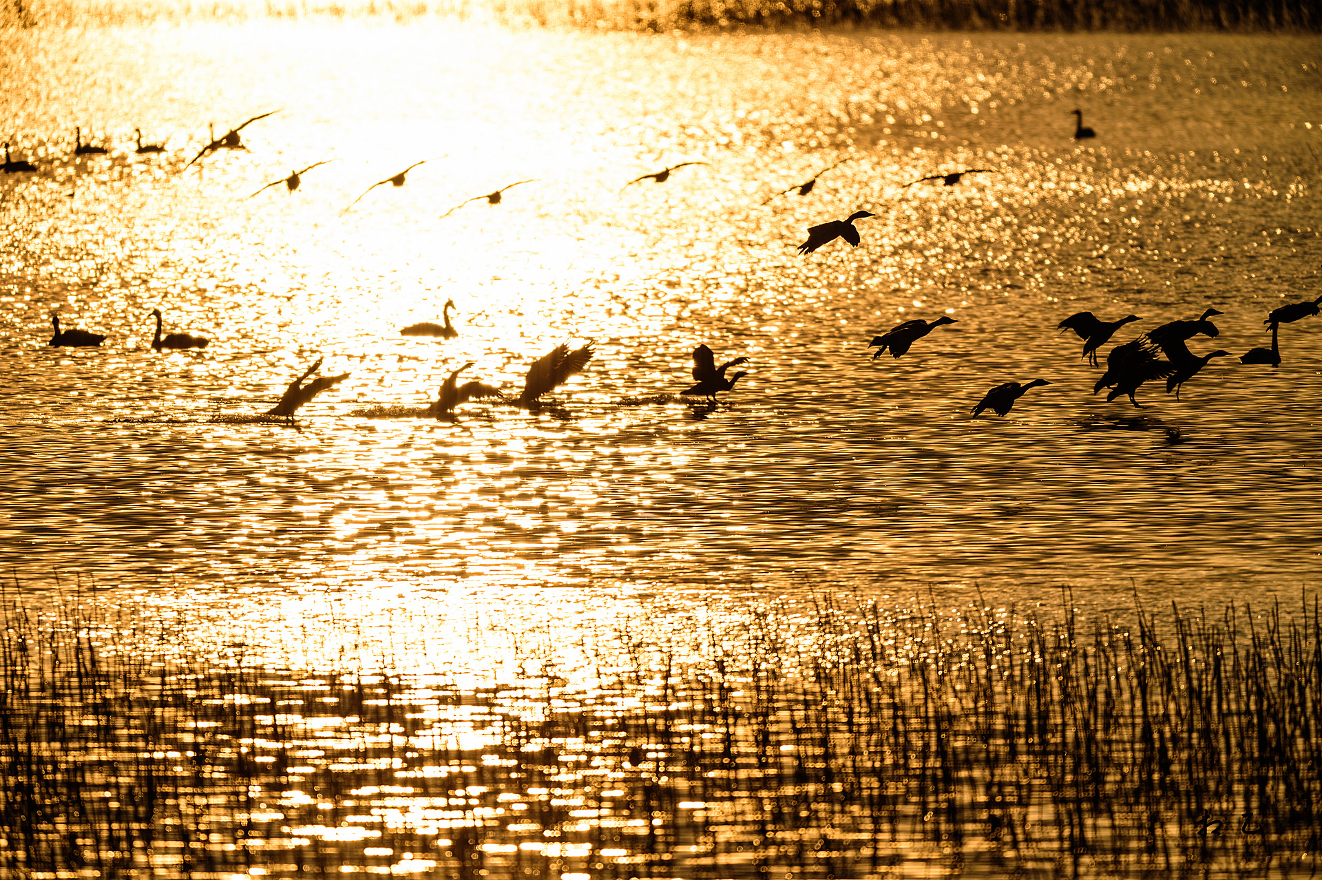 Nikon D4S sample photo. Golden lake photography