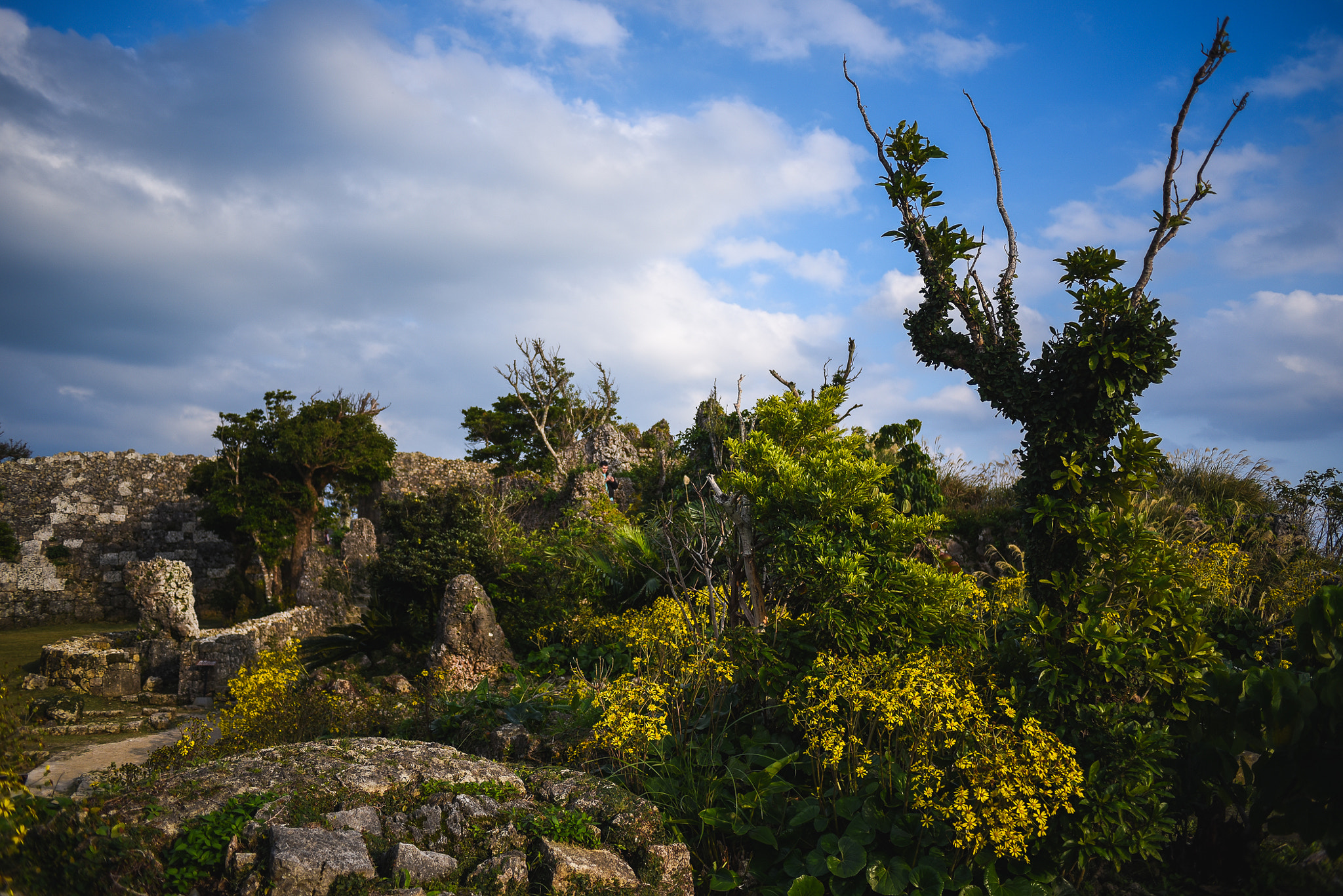 Nikon D750 + Nikon AF Nikkor 28mm F2.8D sample photo. On top of a castle photography