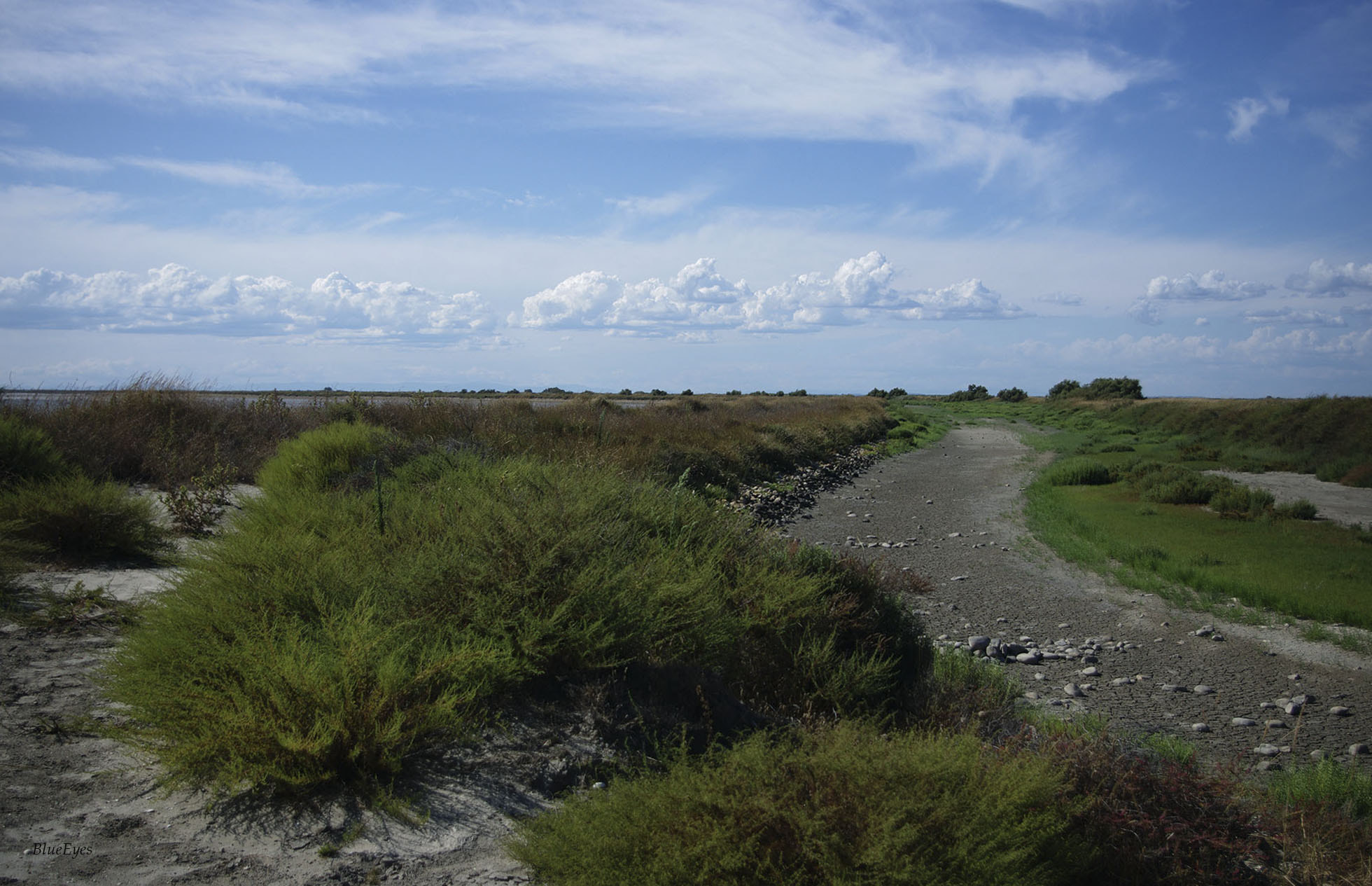 Pentax smc DA 18-55mm F3.5-5.6 AL sample photo. Camargue photography