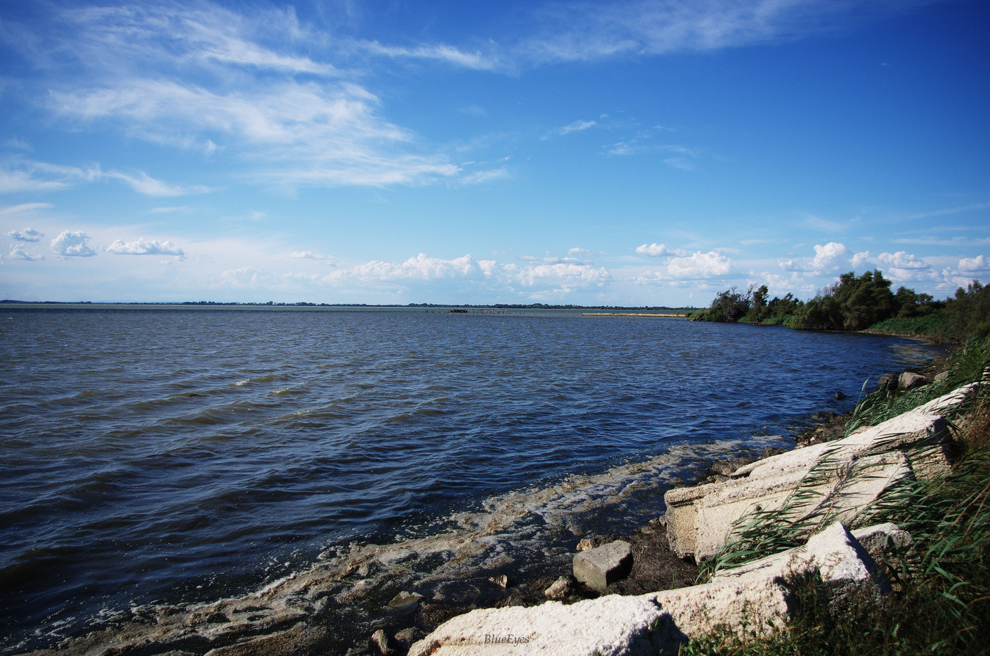 Pentax smc DA 18-55mm F3.5-5.6 AL sample photo. Camargue photography