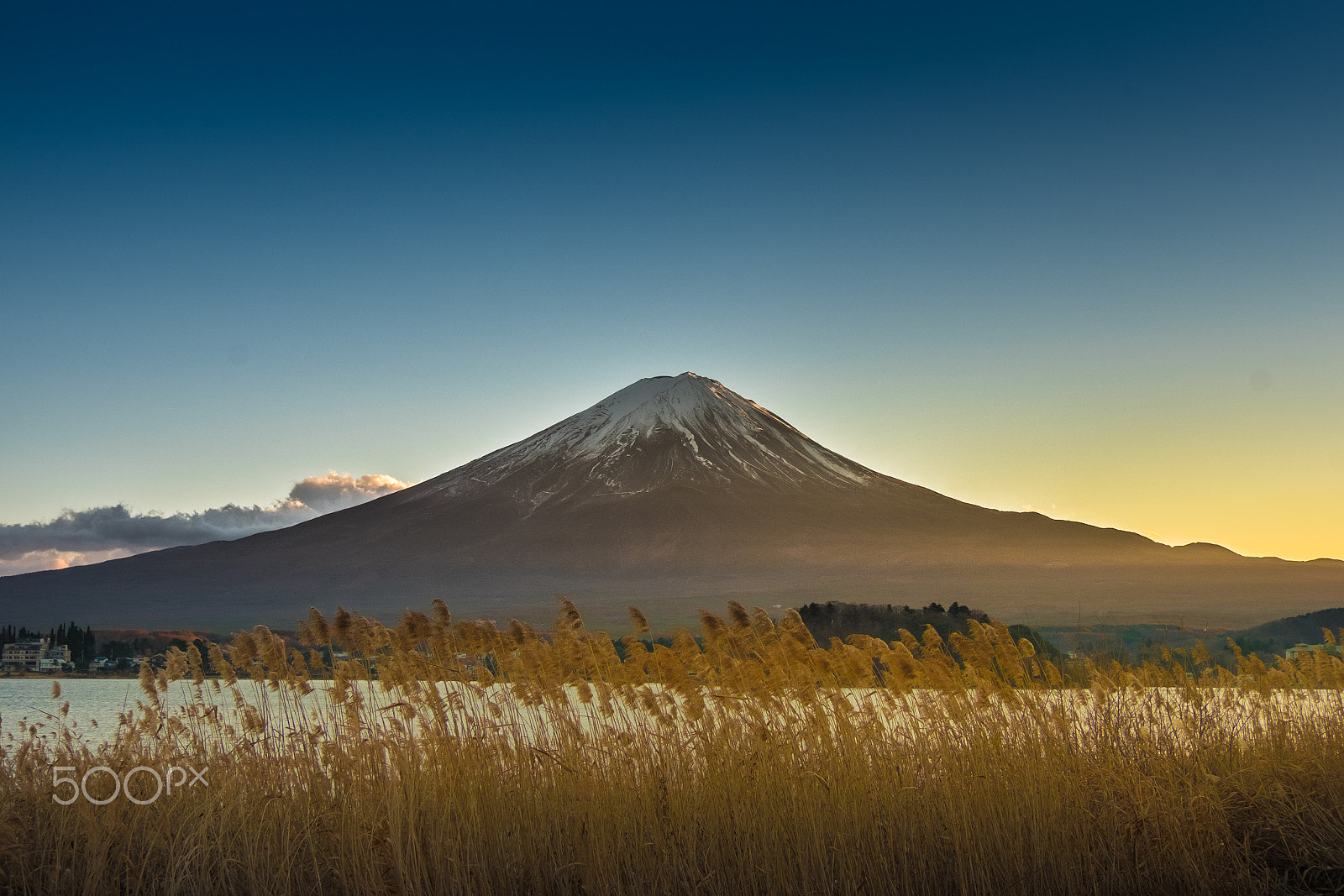 Fujifilm X-E2 + Fujifilm XF 18-135mm F3.5-5.6 R LM OIS WR sample photo. Golden meadow and mt.fuji photography
