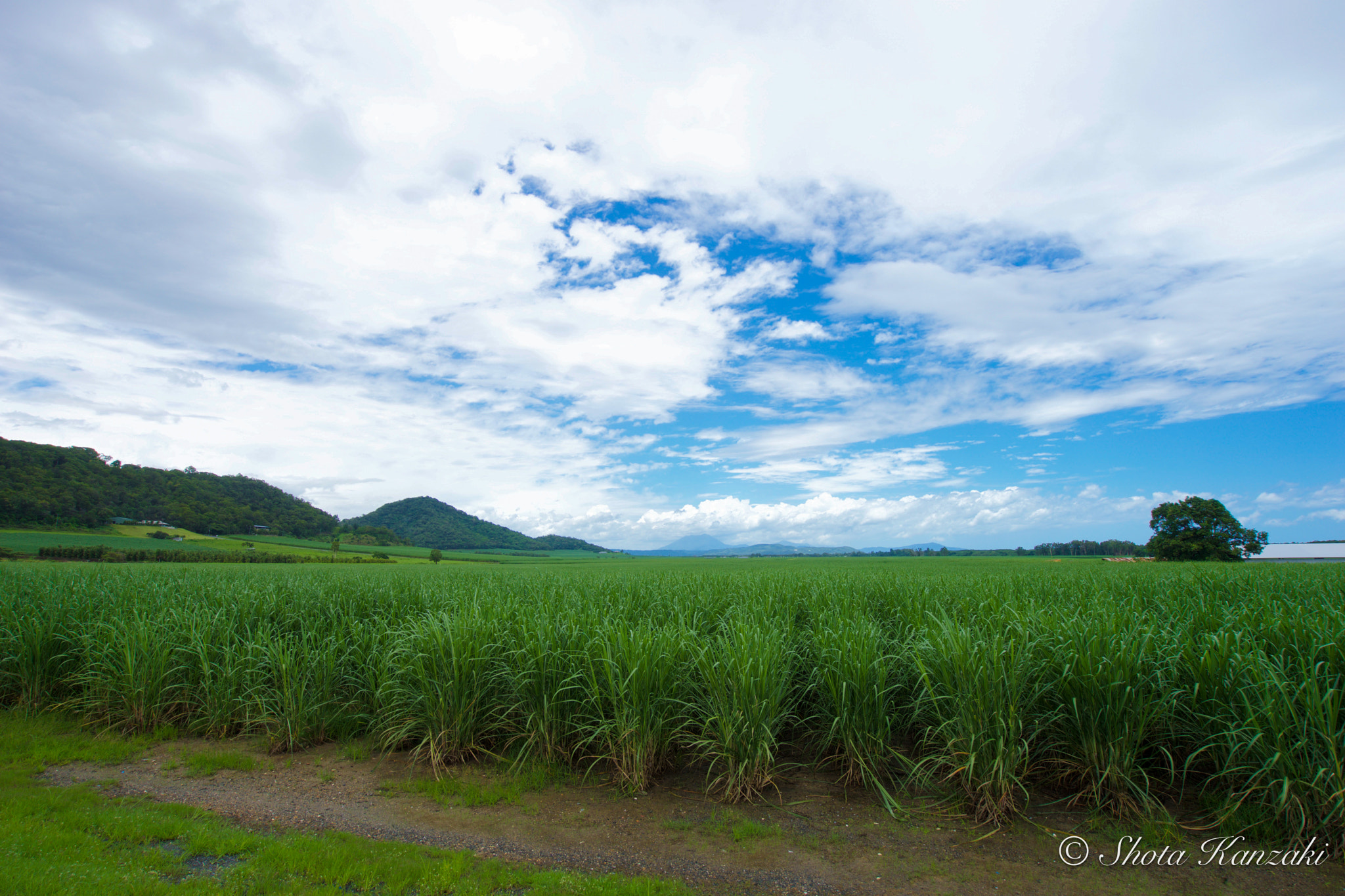 Sony a7 + Sony Vario-Tessar T* FE 16-35mm F4 ZA OSS sample photo. Endless farm photography