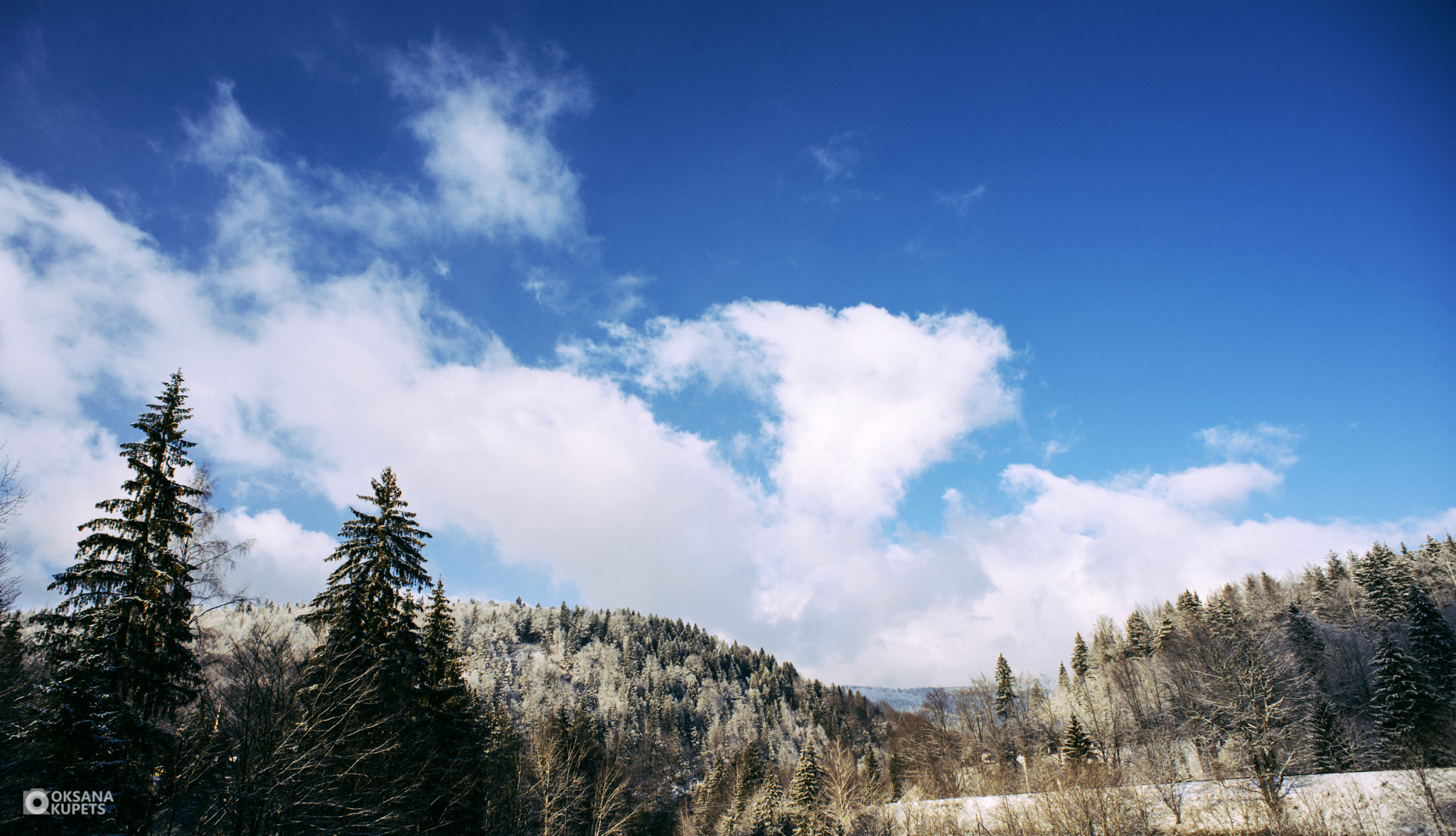 Nikon D600 + Nikon AF Nikkor 20mm F2.8D sample photo. Carpathian mountains.jpg photography