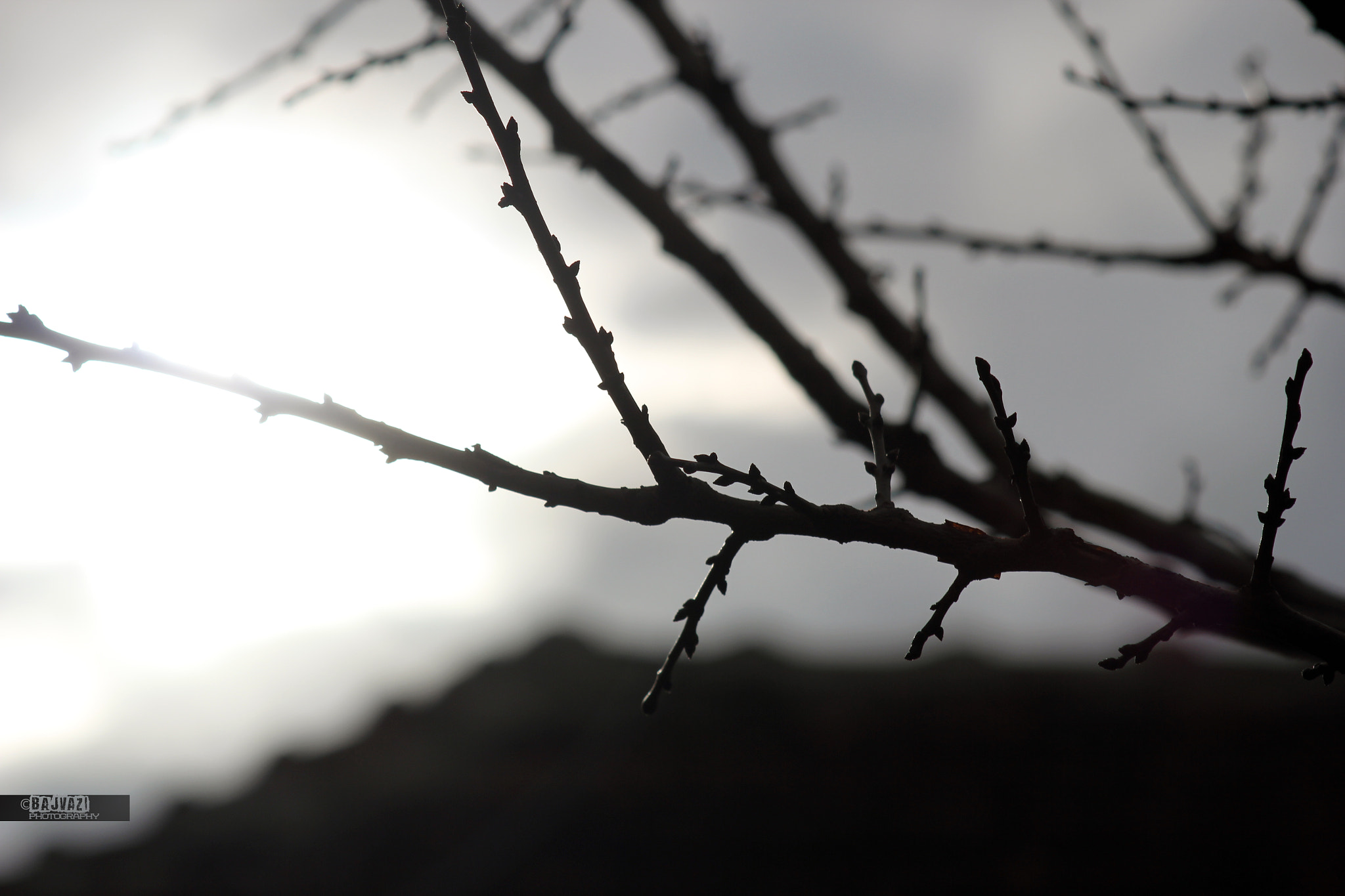 Canon EF 80-200mm F4.5-5.6 II sample photo. Winter sun, 10 january 2016 photography