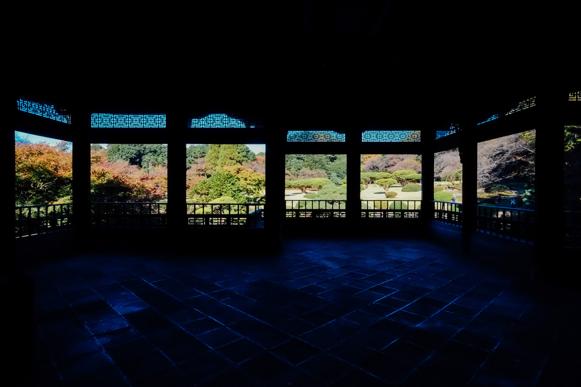 Fujifilm X-Pro1 + ZEISS Touit 12mm F2.8 sample photo. Dscf4553.jpg photography