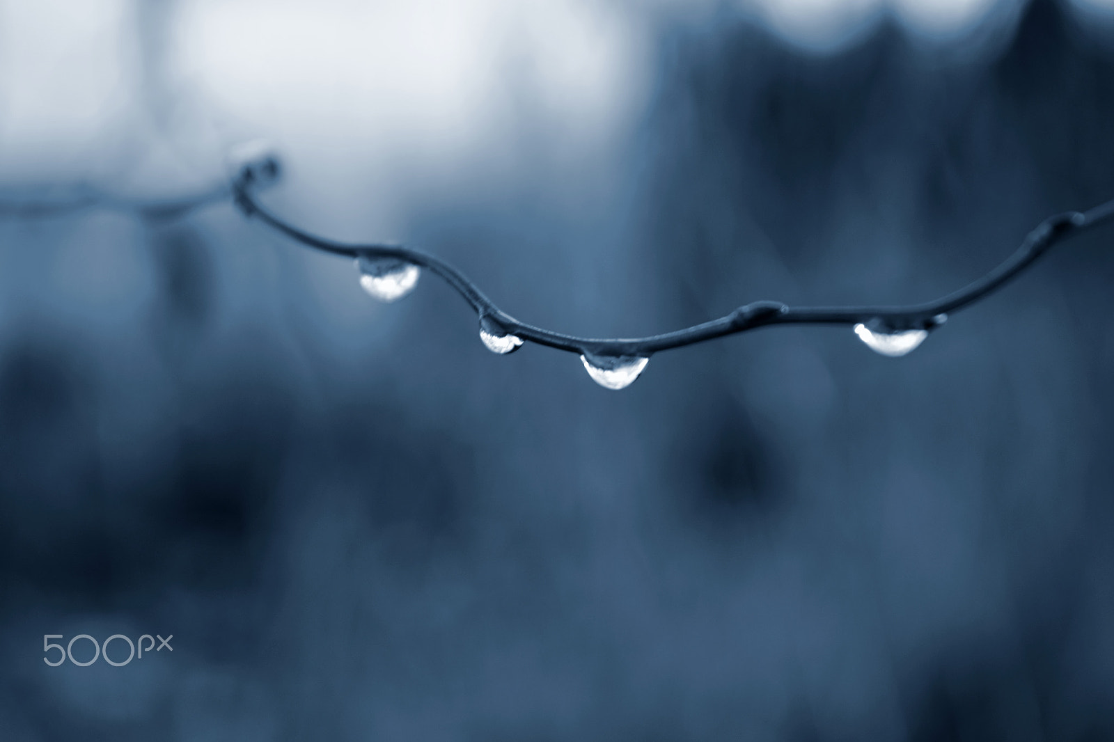 18.00 - 55.00 mm f/3.5 - 5.6 sample photo. Sadness photography