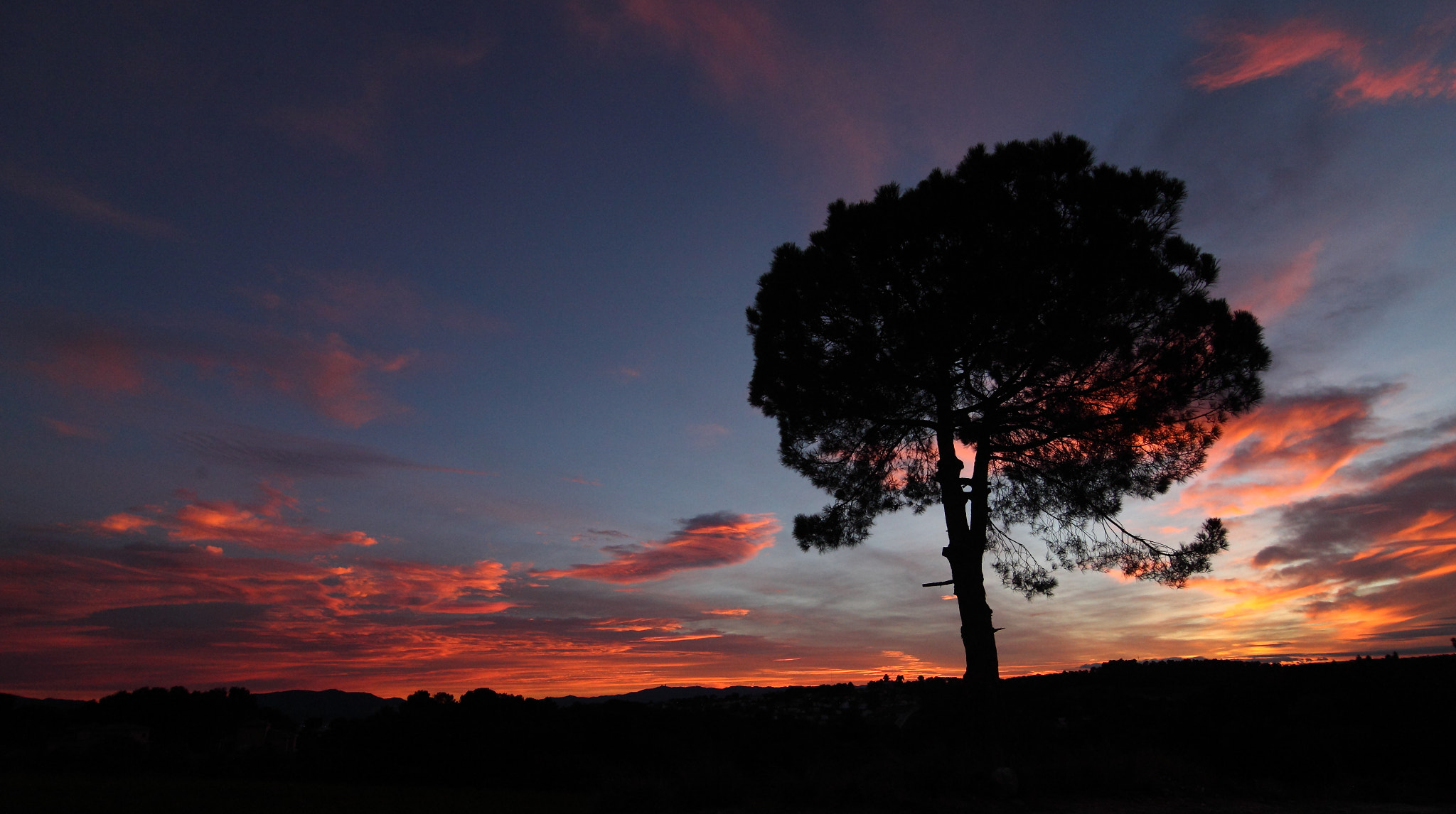 Canon 11-16mm sample photo. Jpg photography