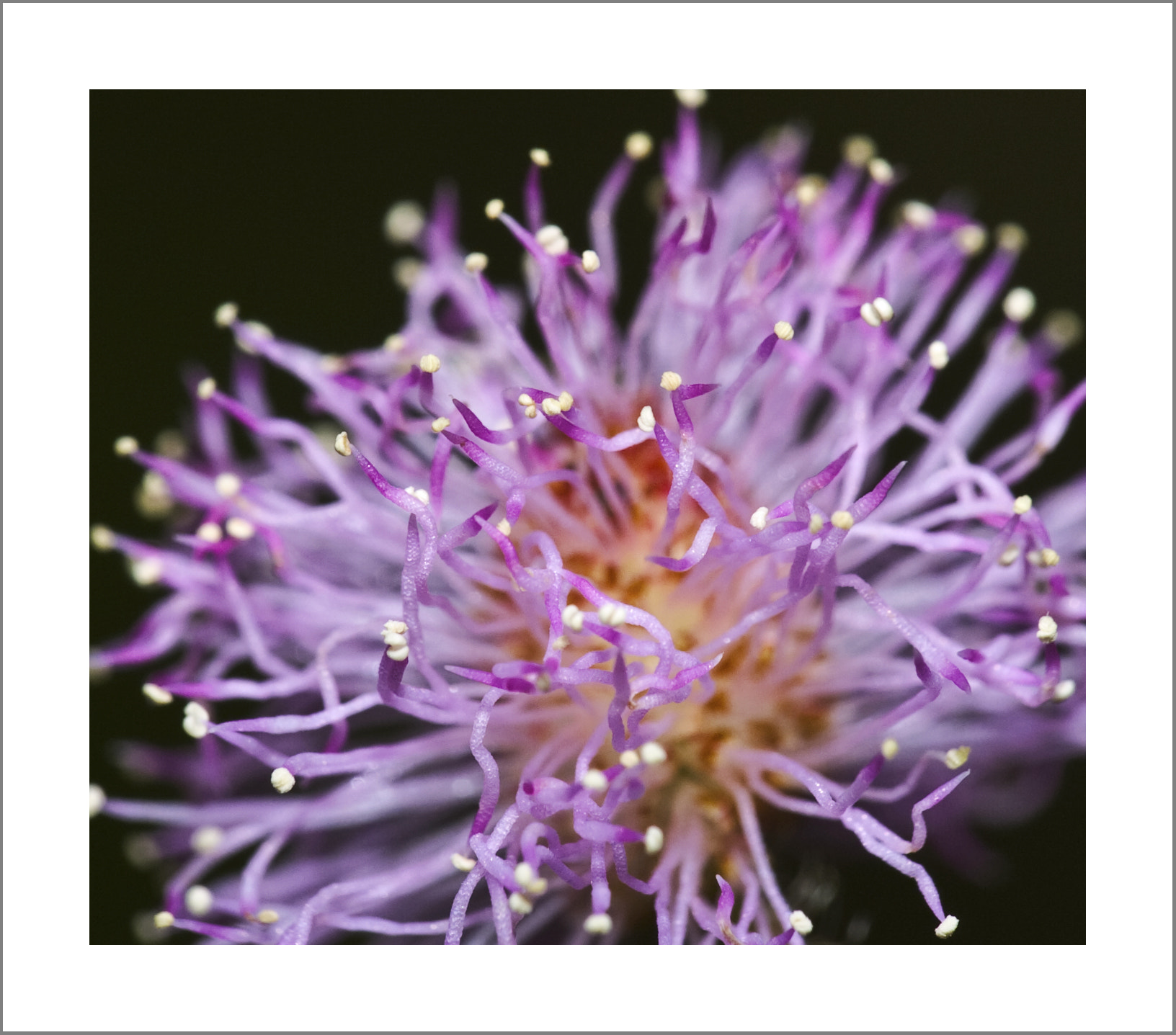 Nikon D2Hs sample photo