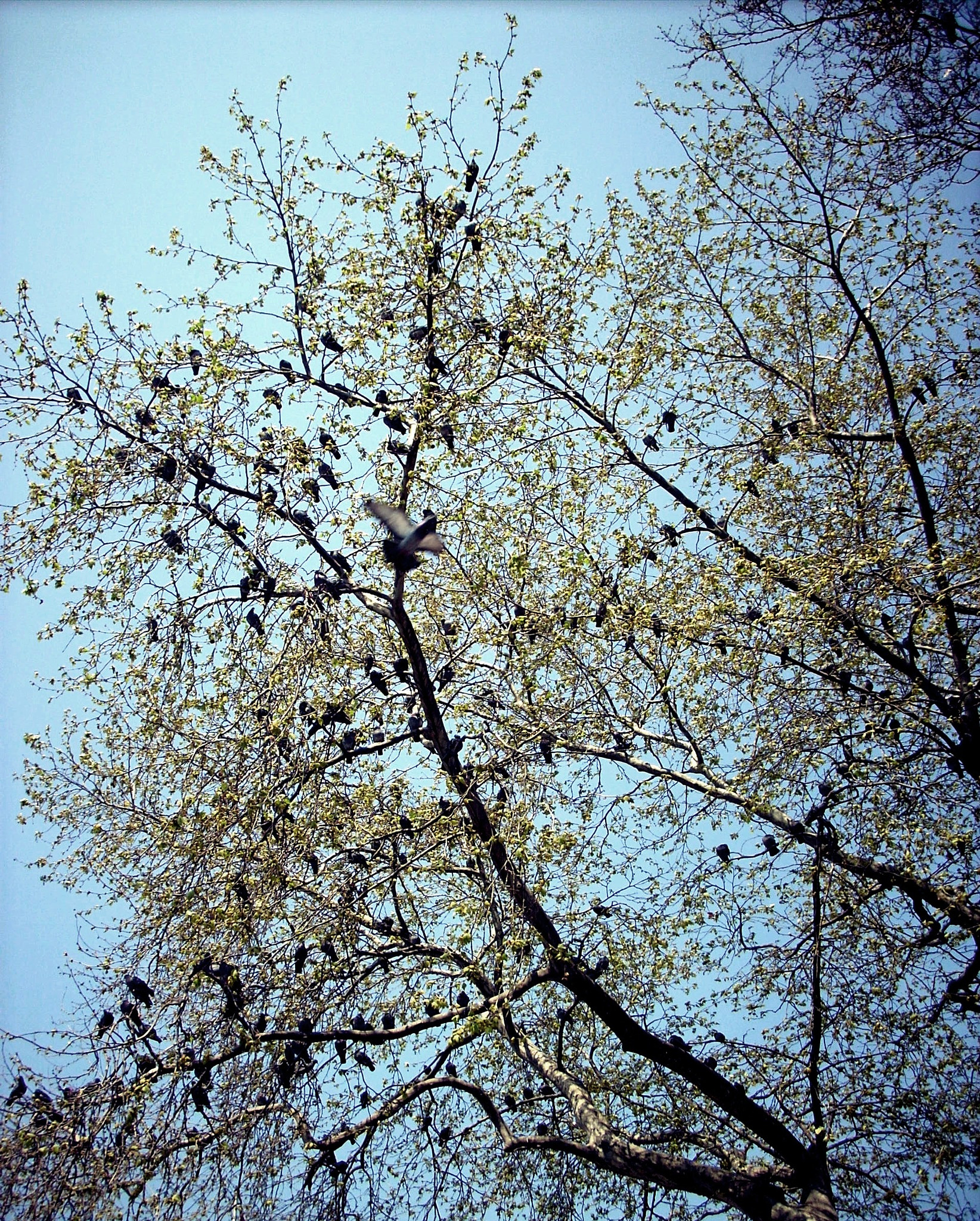Nikon COOLPIX L10 sample photo. Life photography