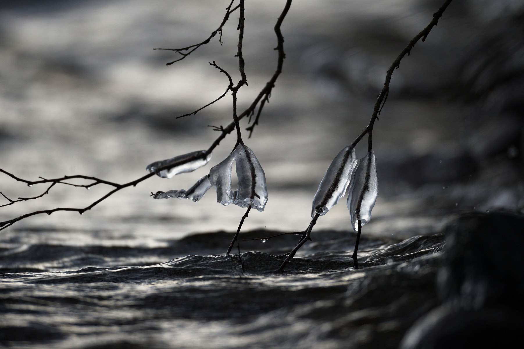 Nikon AF-S Nikkor 500mm F4D ED-IF II sample photo. Ice formations photography