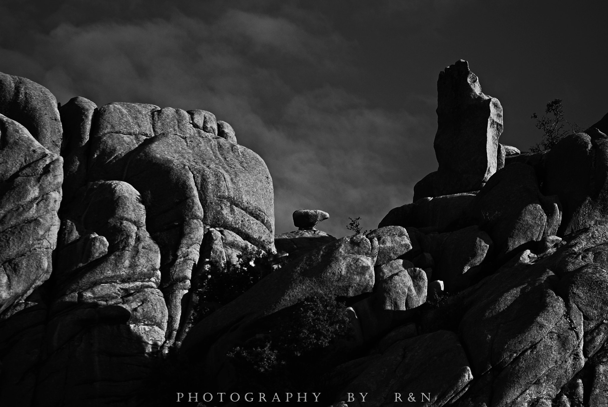 Sigma 105mm F2.8 EX DG OS HSM sample photo. La pedriza 11 photography