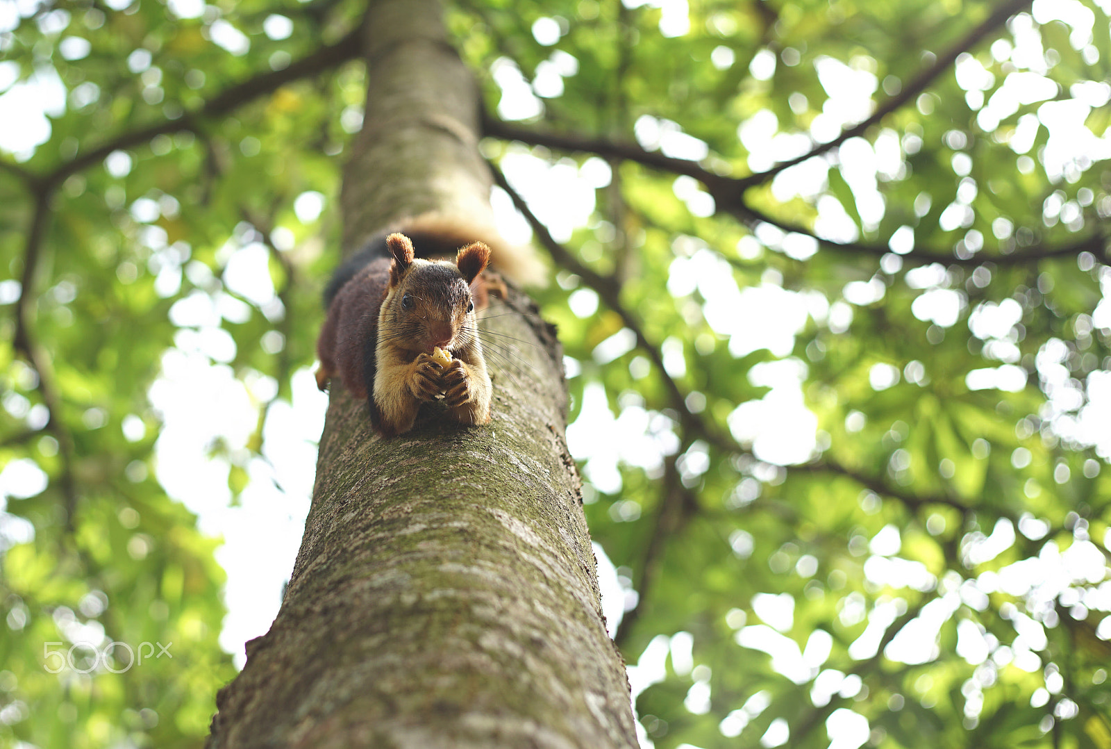 50mm F1.8 sample photo. Do not disturb photography