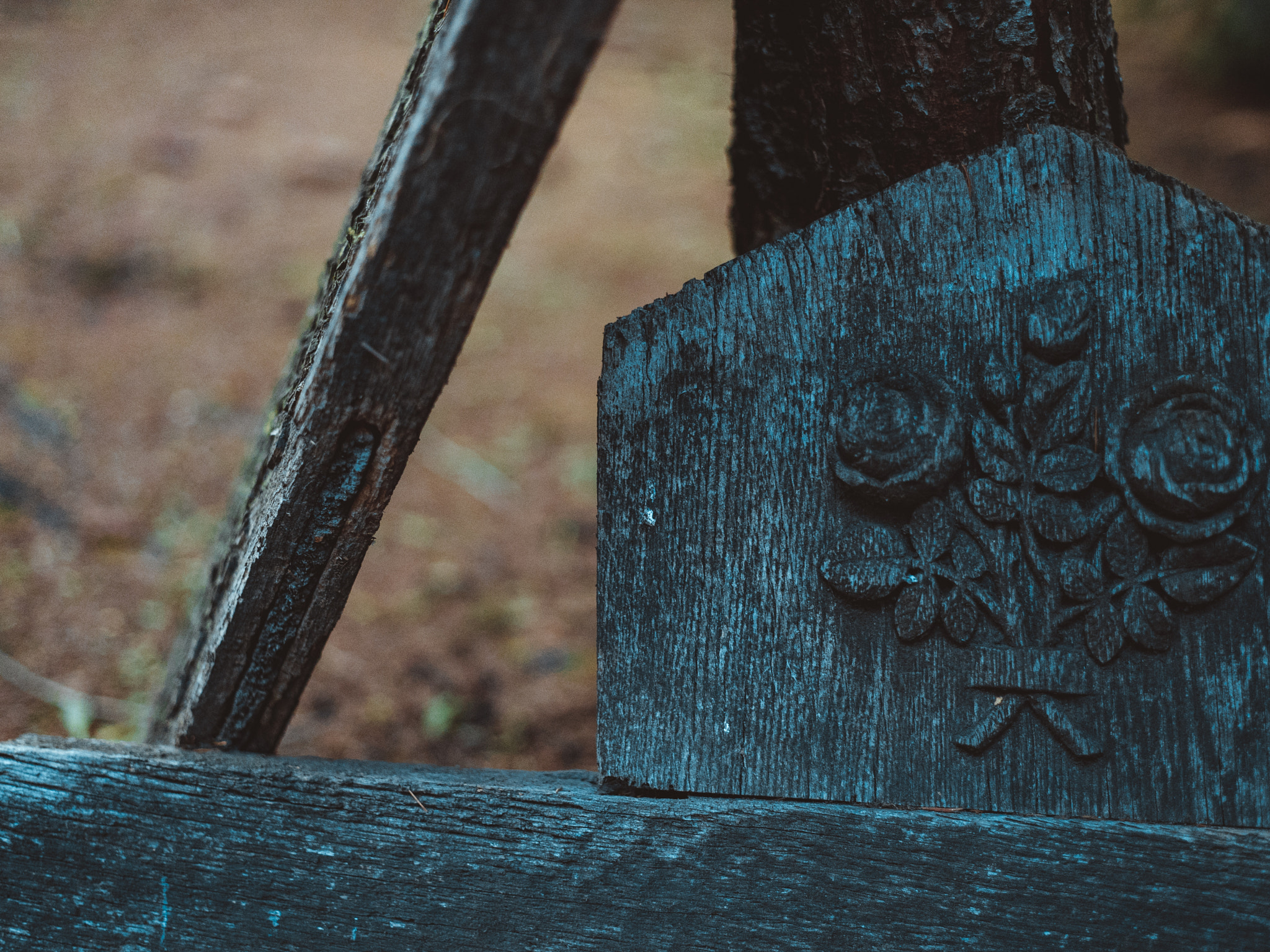 E 50mm F2 sample photo. Discoveries at the cemetery photography