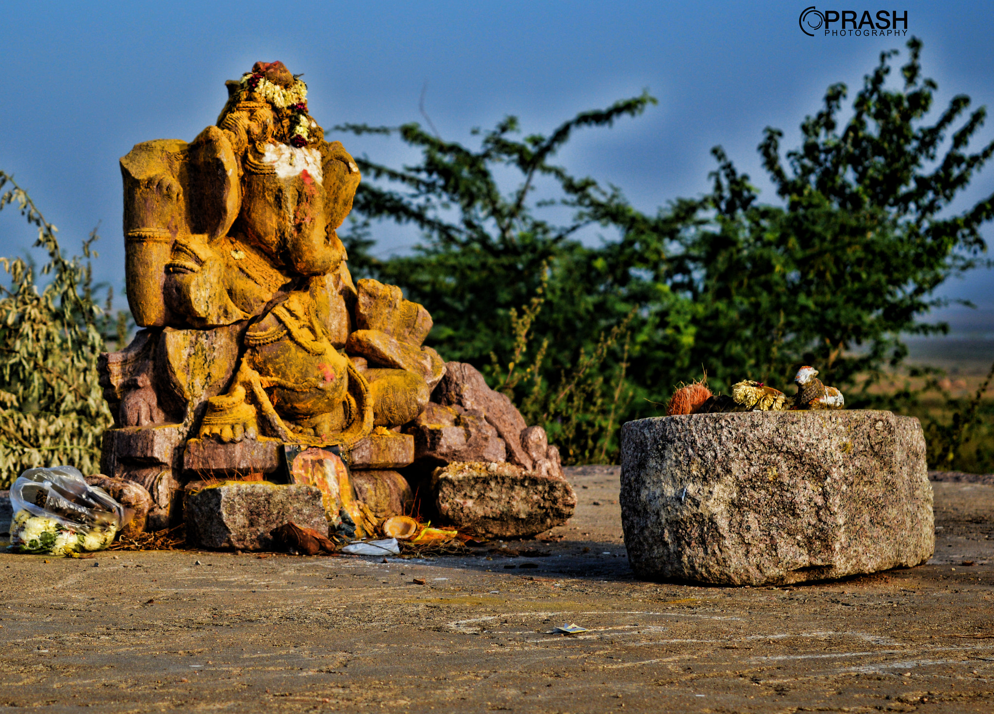 Nikon D3200 + AF Nikkor 20mm f/2.8 sample photo. ::the lord:: photography
