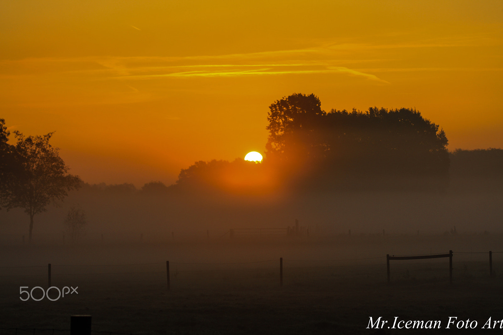 Canon EF 80-200mm F4.5-5.6 II sample photo. Sonnenaufgang photography