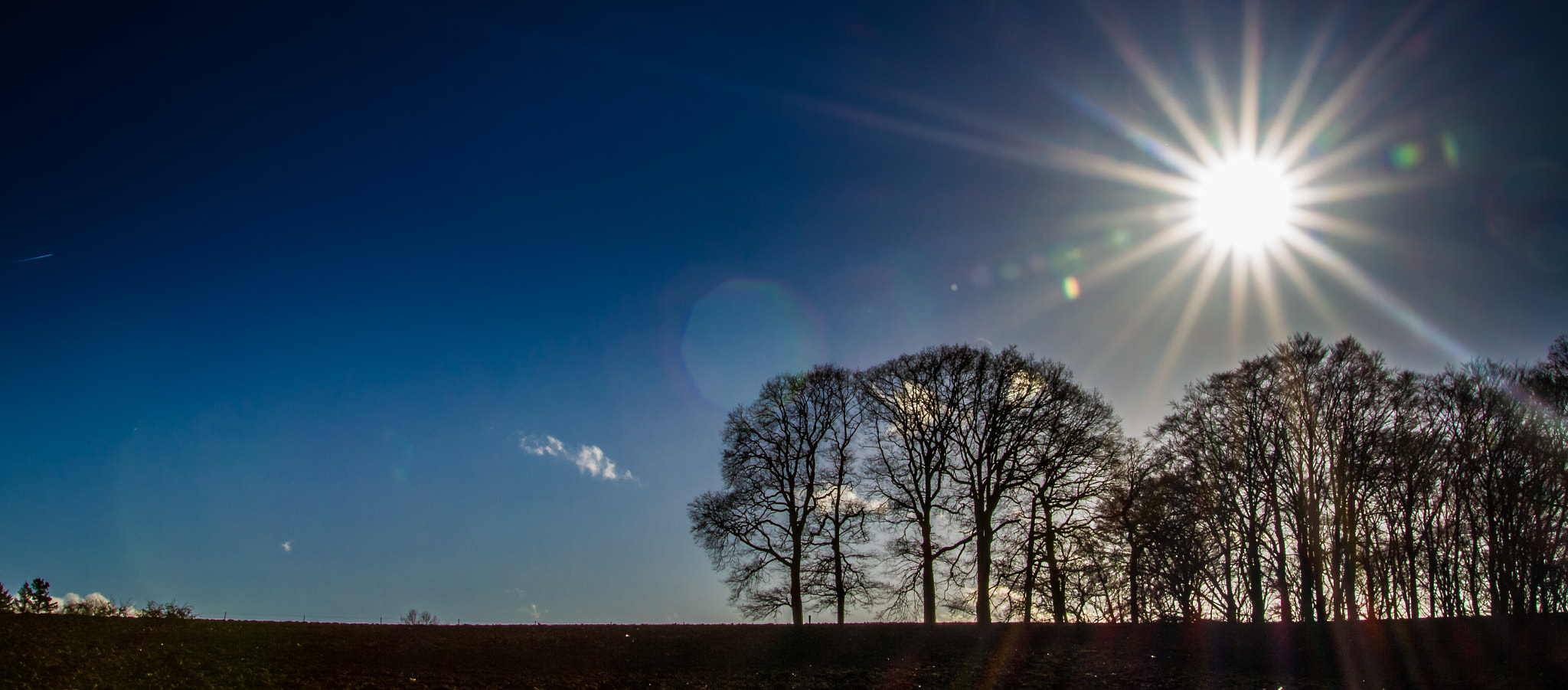 Sigma 24-105mm f/4 DG OS HSM | A sample photo. Sunny winter day photography