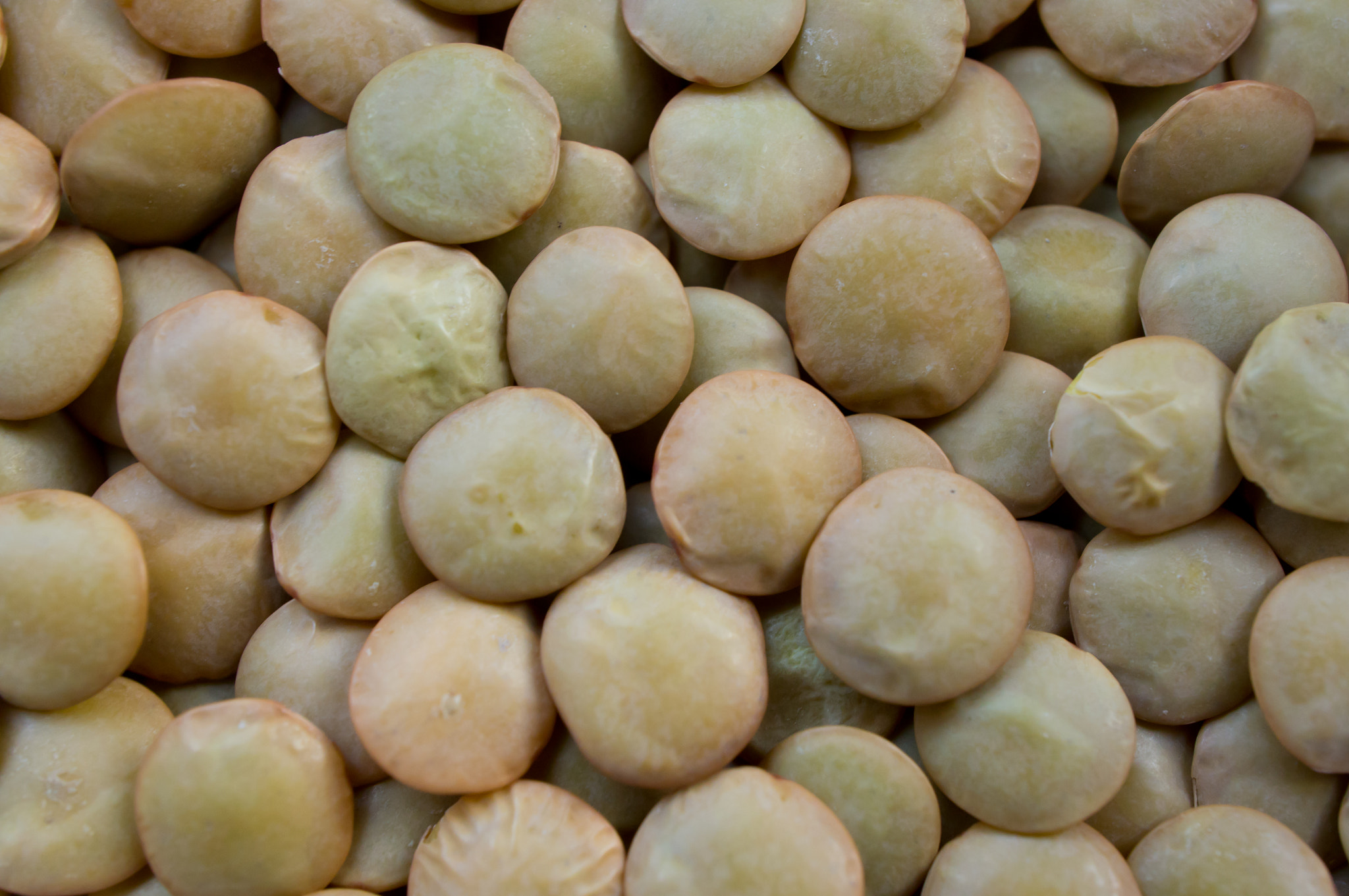 Sony Alpha NEX-5N + Sony E 30mm F3.5 Macro sample photo. Dry lentils photography