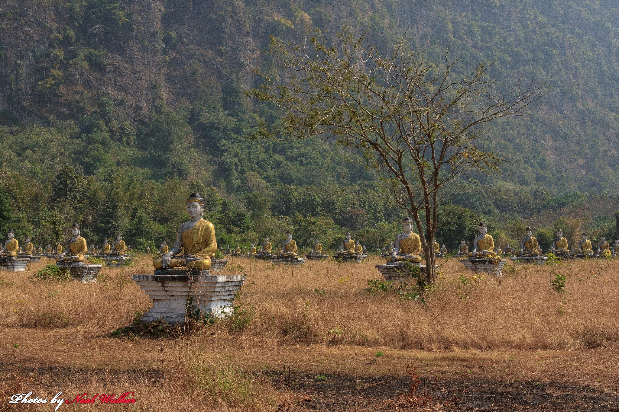 Canon EF-S 17-85mm F4-5.6 IS USM sample photo. Terracotta images of buddha photography