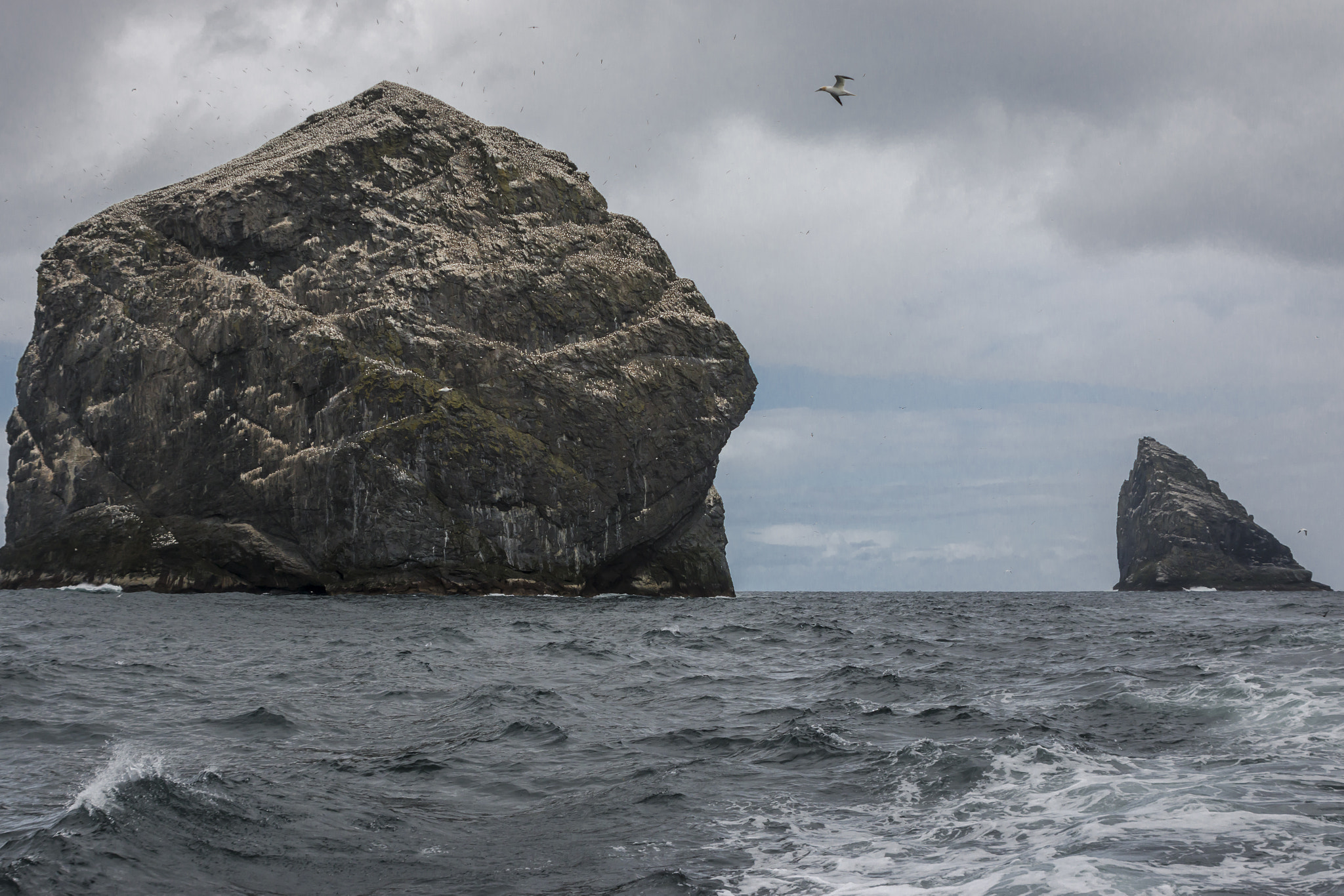 Canon EF 28-200mm F3.5-5.6 USM sample photo. Stac lee, st kilda photography