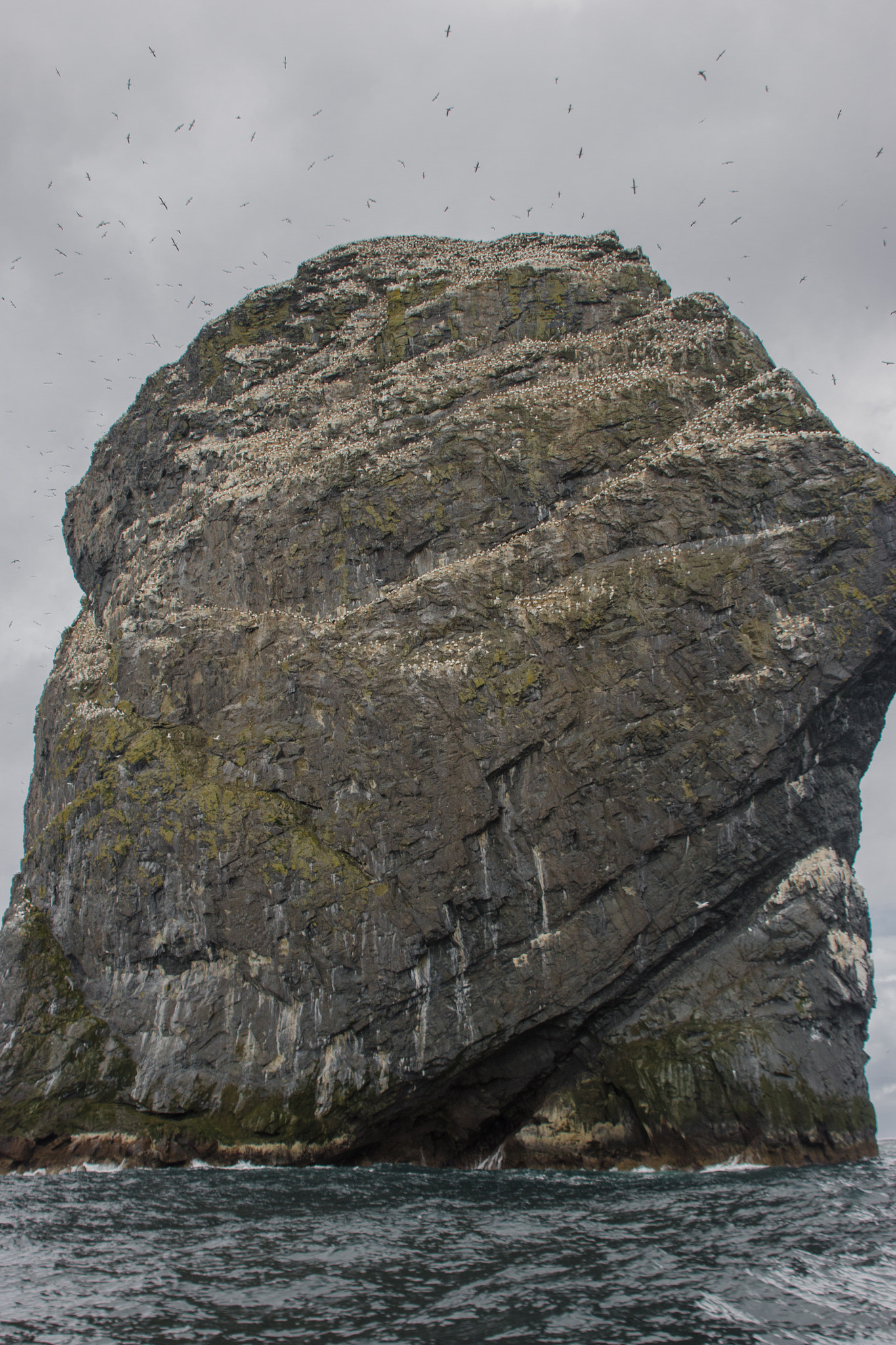 Canon EF 28-200mm F3.5-5.6 USM sample photo. Stac lee, st kilda photography