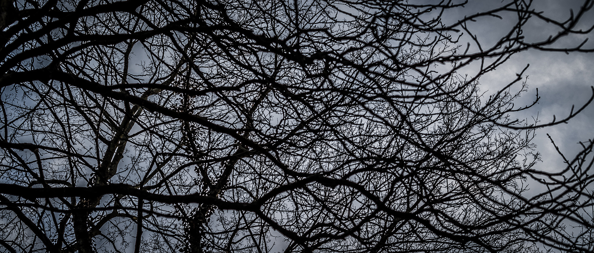 E 50mm F2 sample photo. Discoveries at the cemetery photography