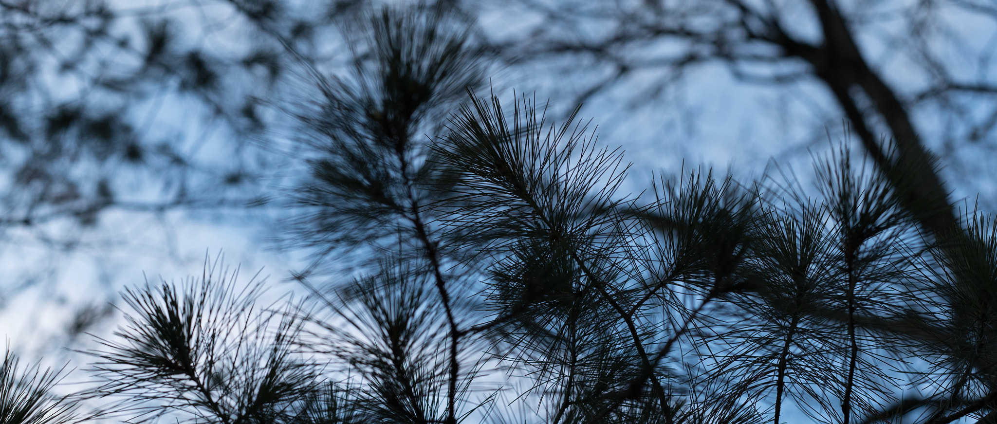 E 50mm F2 sample photo. Discoveries at the cemetery photography