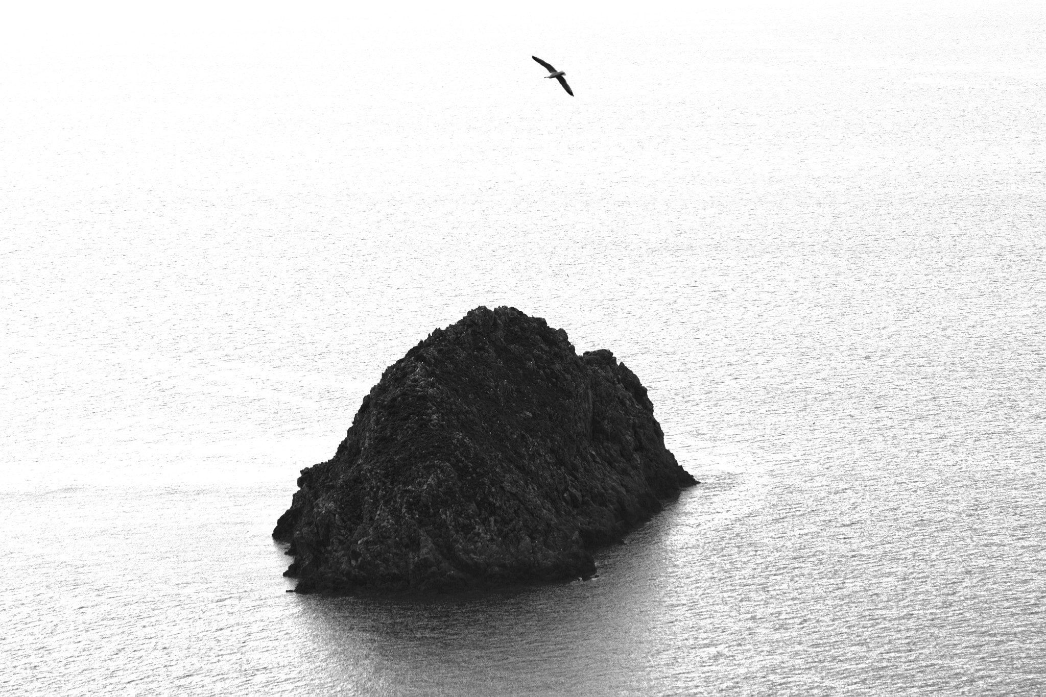 Sony SLT-A55 (SLT-A55V) sample photo. Freedom over the rock photography