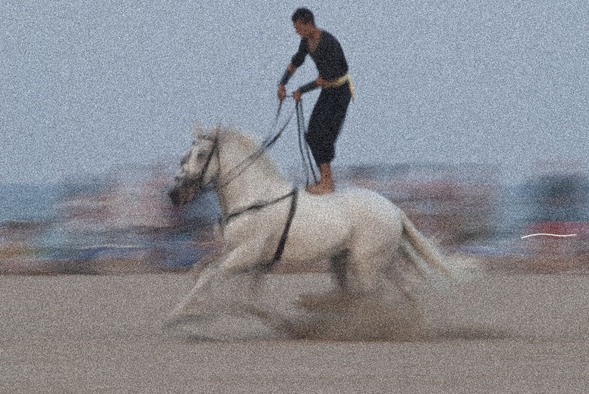 AF Nikkor 70-210mm f/4-5.6D sample photo. Caballos photography