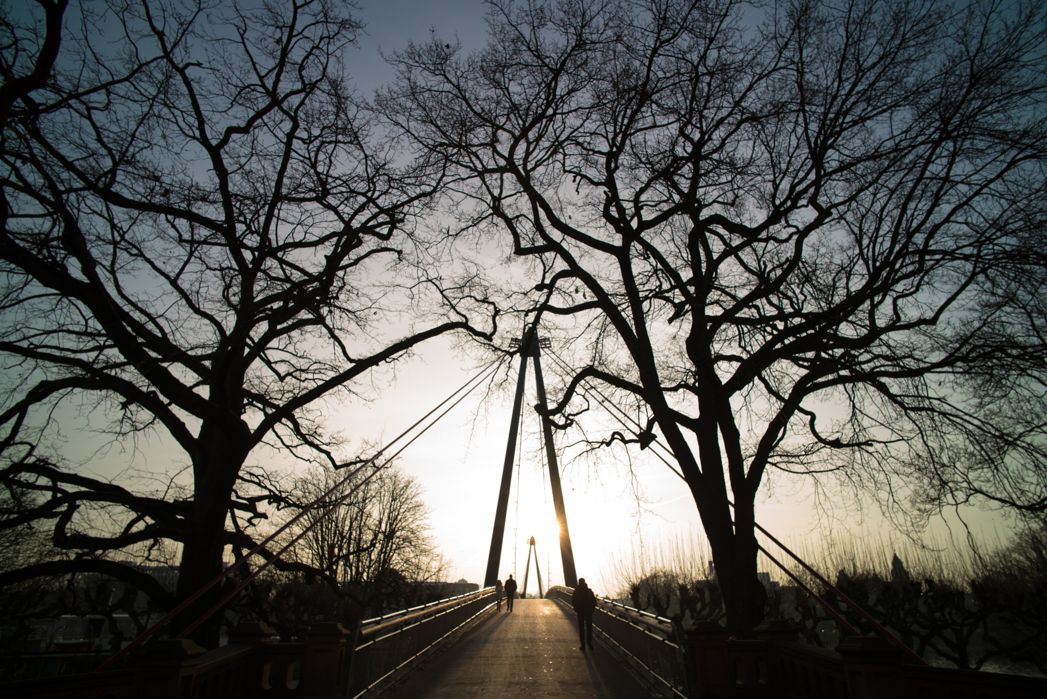 Leica Summilux-M 21mm F1.4 Asph sample photo. Holbeinsteg photography