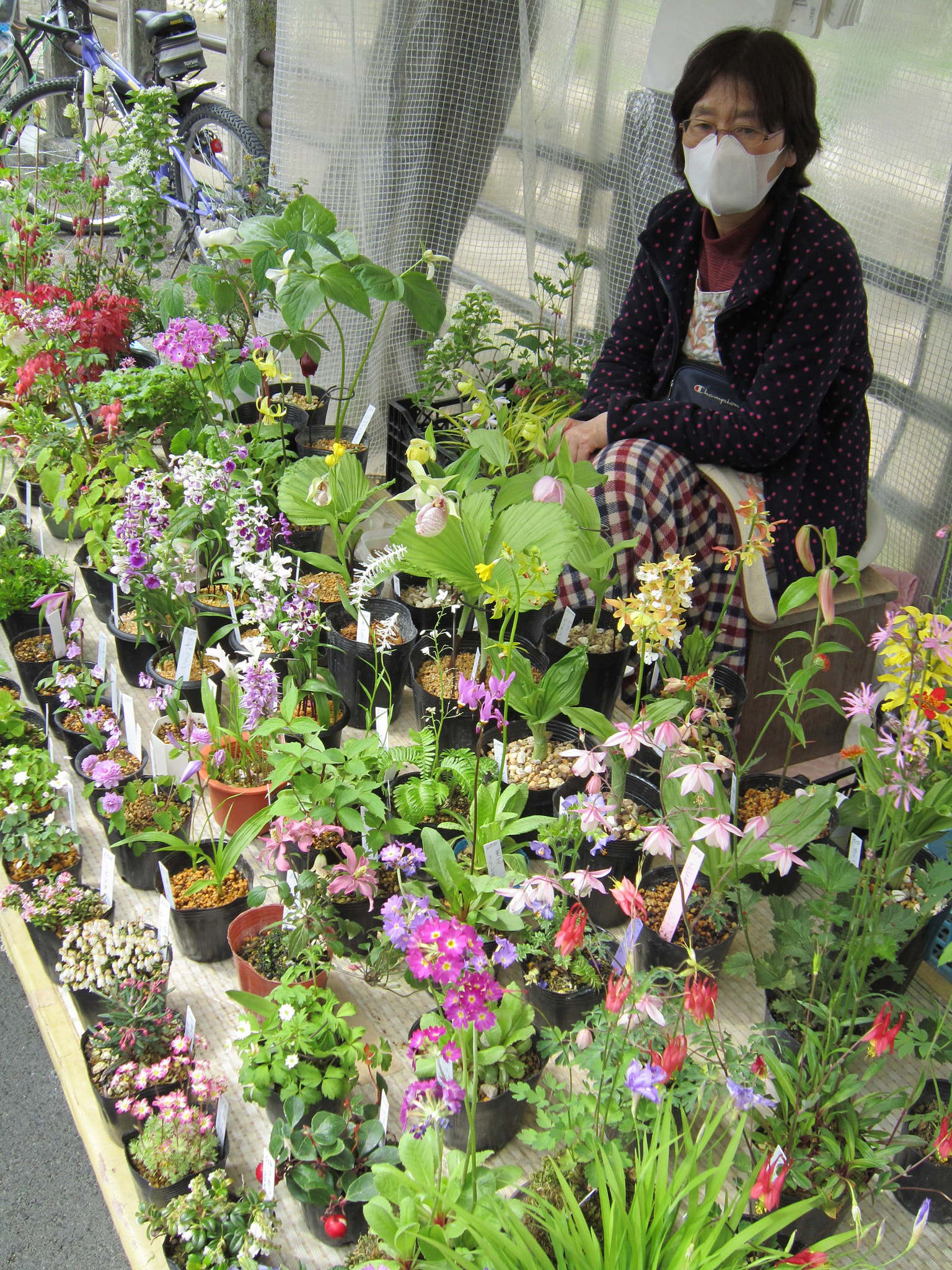 Canon PowerShot SD3500 IS (IXUS 210 / IXY 10S) sample photo. Japon mai 2012_c photography