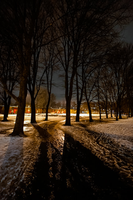 Sony a7 + Sony E 10-18mm F4 OSS sample photo. 201402141931.jpg photography