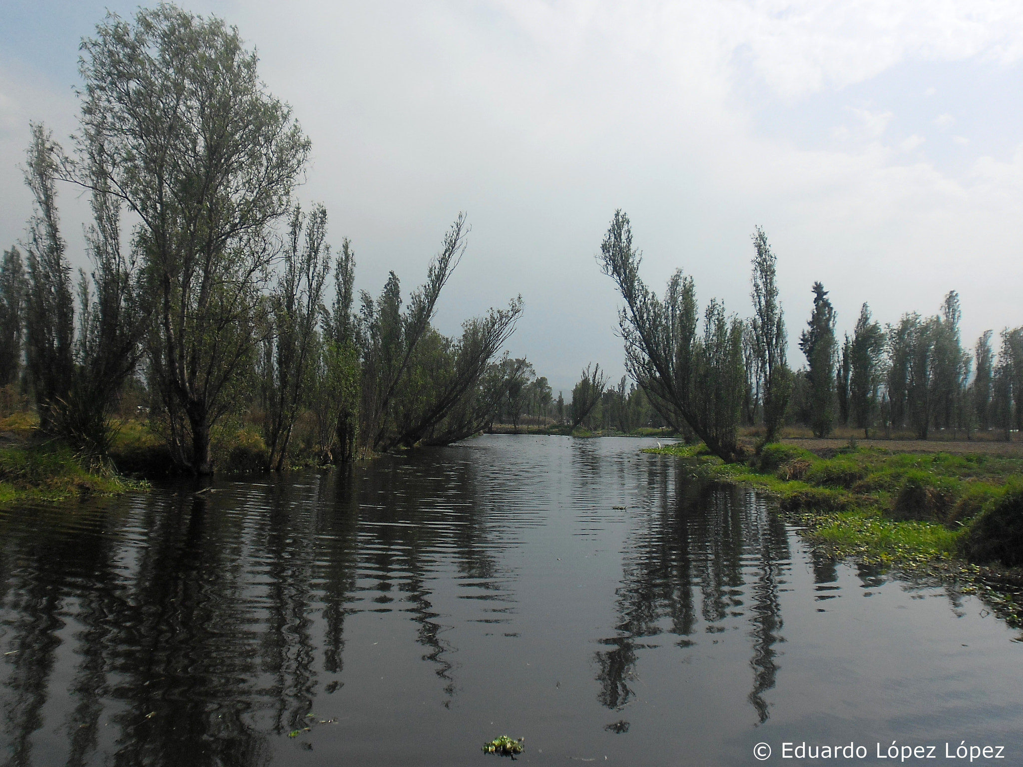 Samsung ES9/ ES8 sample photo. Los canales de xochimilco photography