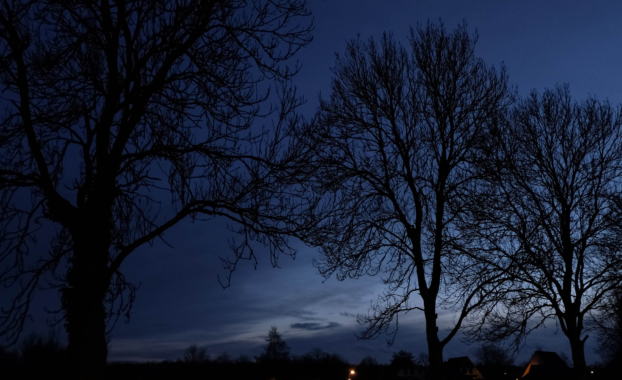 Fujifilm X-M1 + Fujifilm XC 16-50mm F3.5-5.6 OIS II sample photo. 10-1-2016.jpg photography