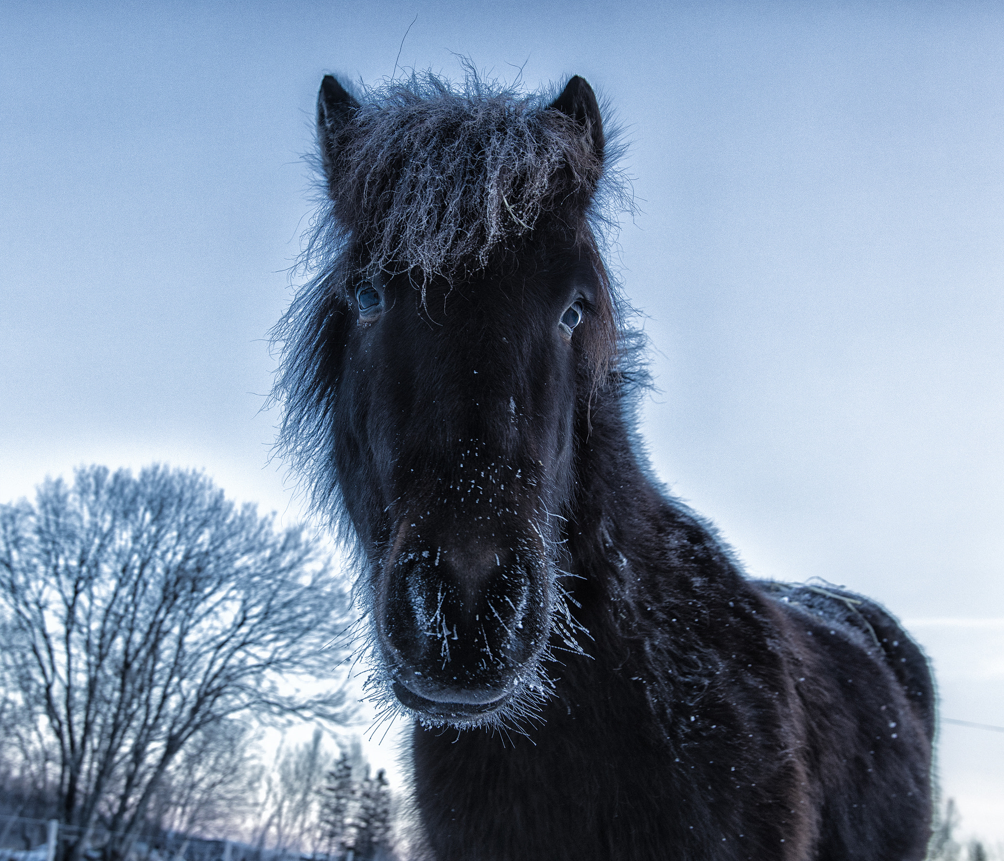 Canon EOS 5DS + Canon EF 16-35mm F2.8L USM sample photo. Løpsfjellet photography