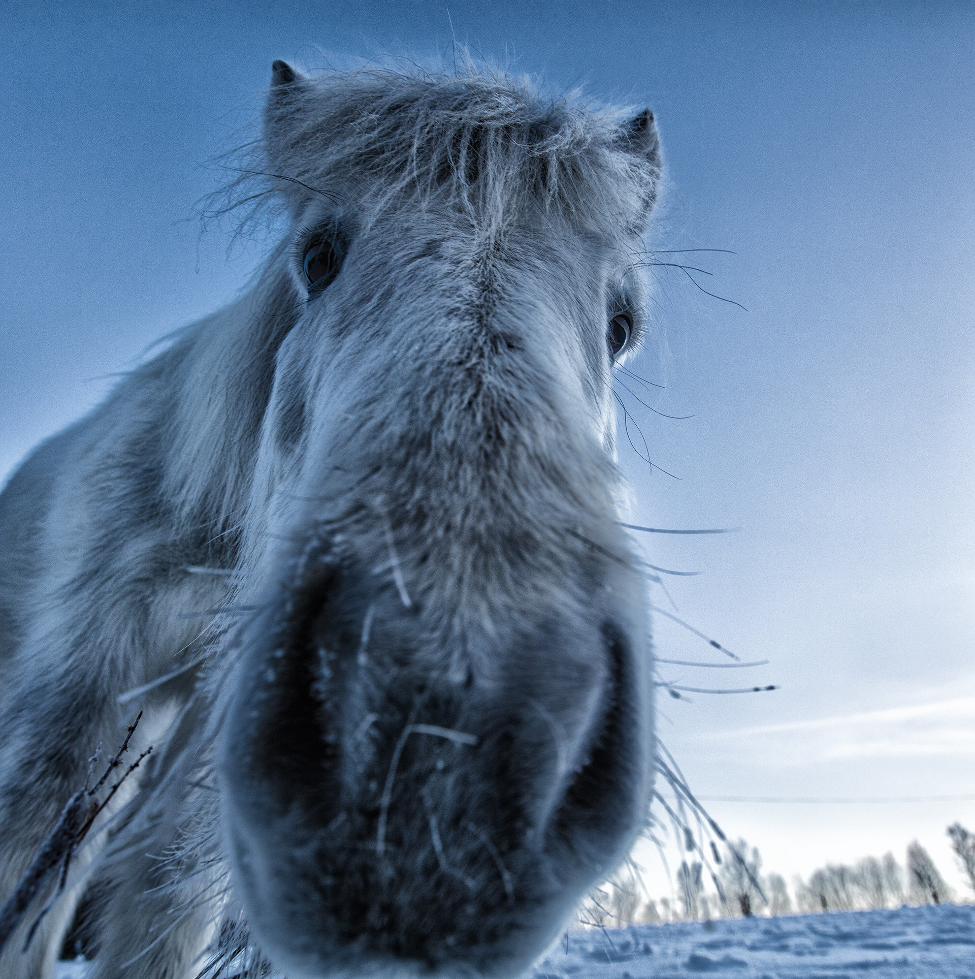 Canon EOS 5DS + Canon EF 16-35mm F2.8L USM sample photo. Løpsfjellet photography