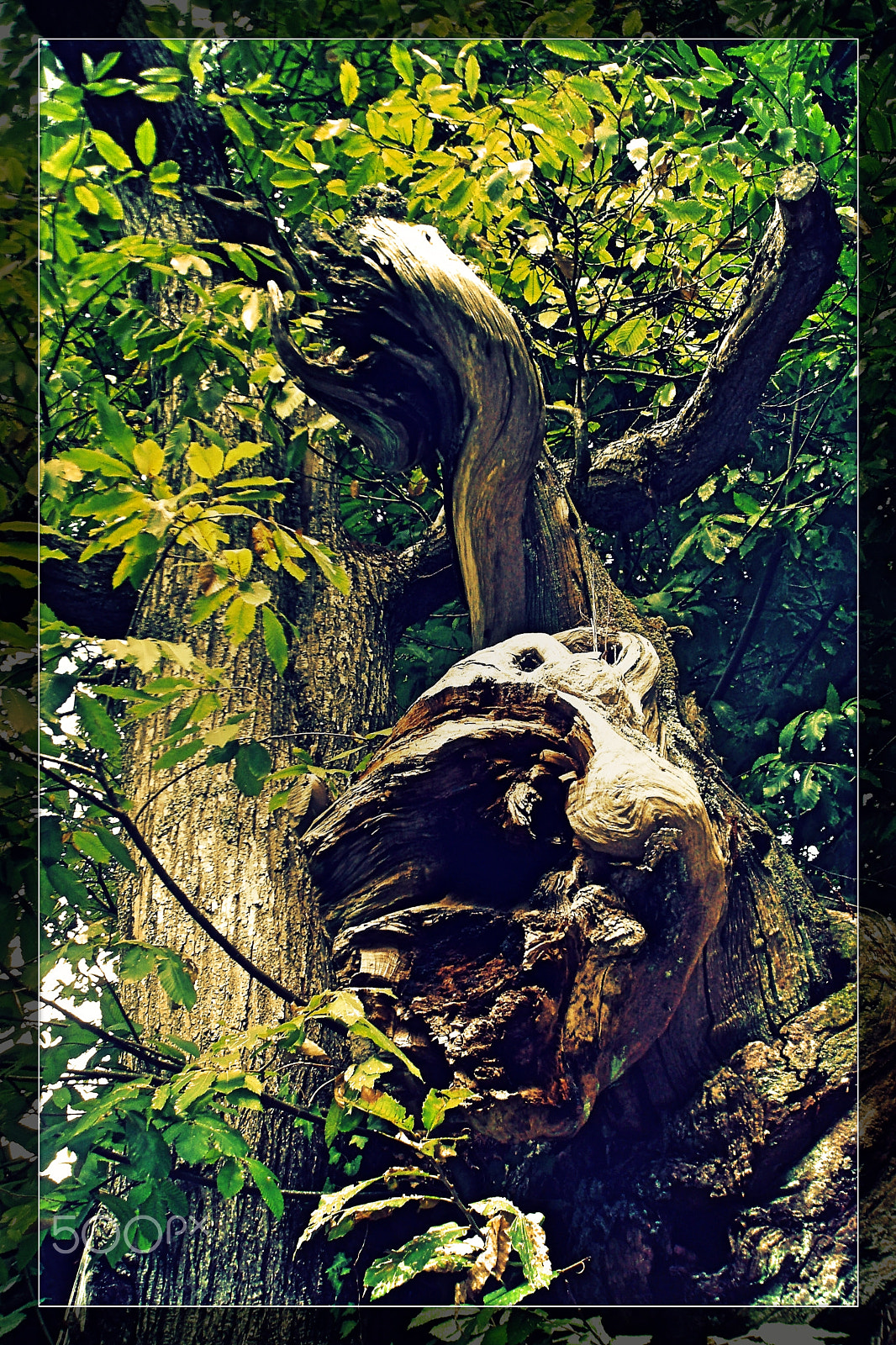 Olympus u760,S760 sample photo. Sintra 2015 photography